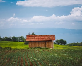 A small, wooden barn with a red-tiled roof stands in the middle of a lush, green field with neat rows of crops. In the background, there is a line of trees and a clear blue sky with scattered clouds.