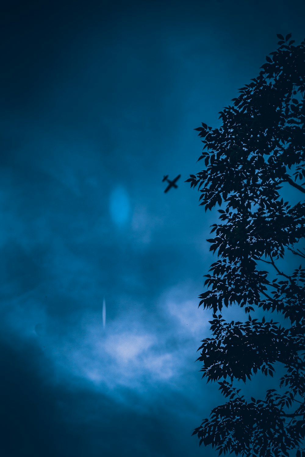 green tree under blue sky during daytime