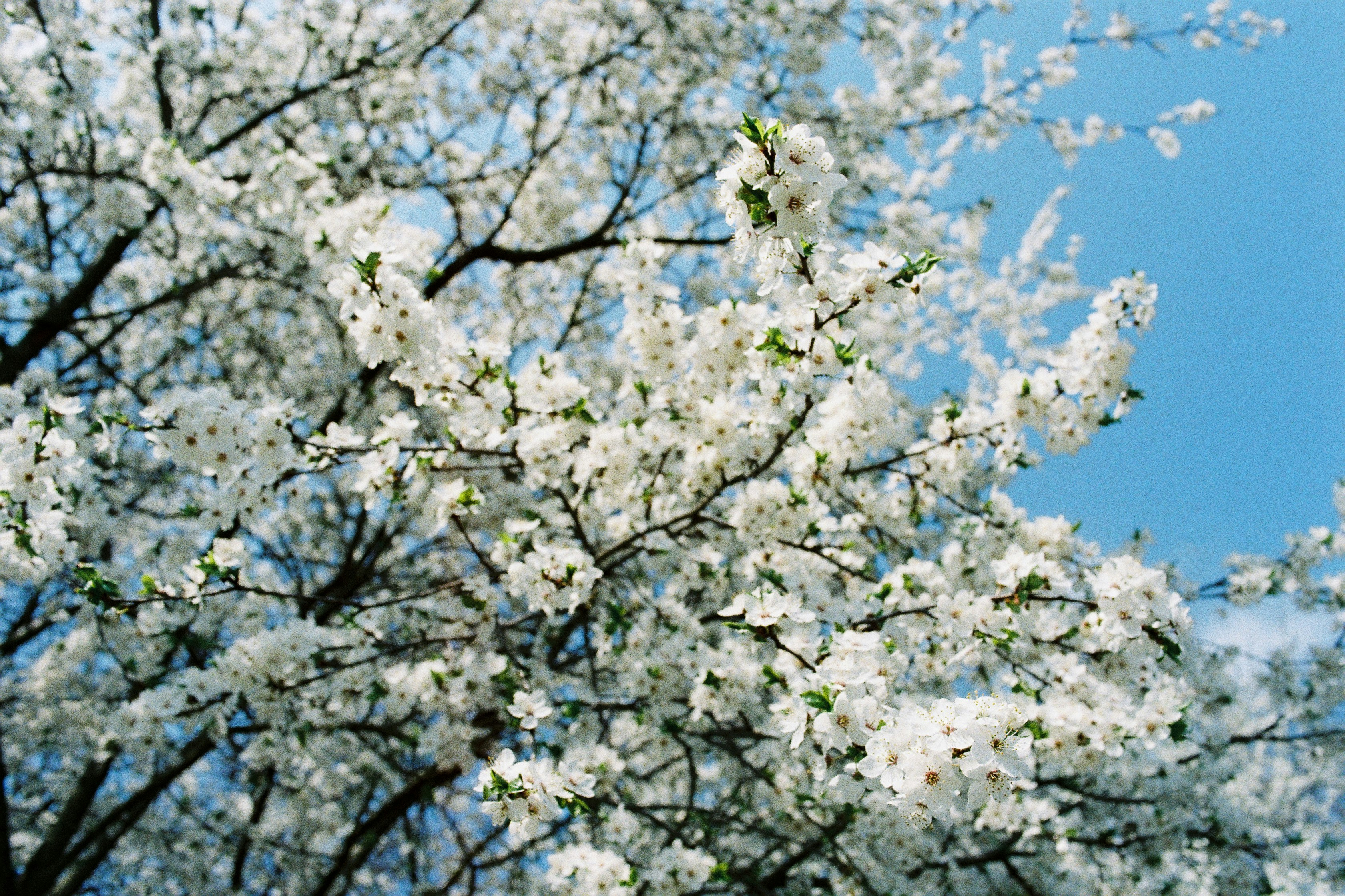 Photo by ana_semenko