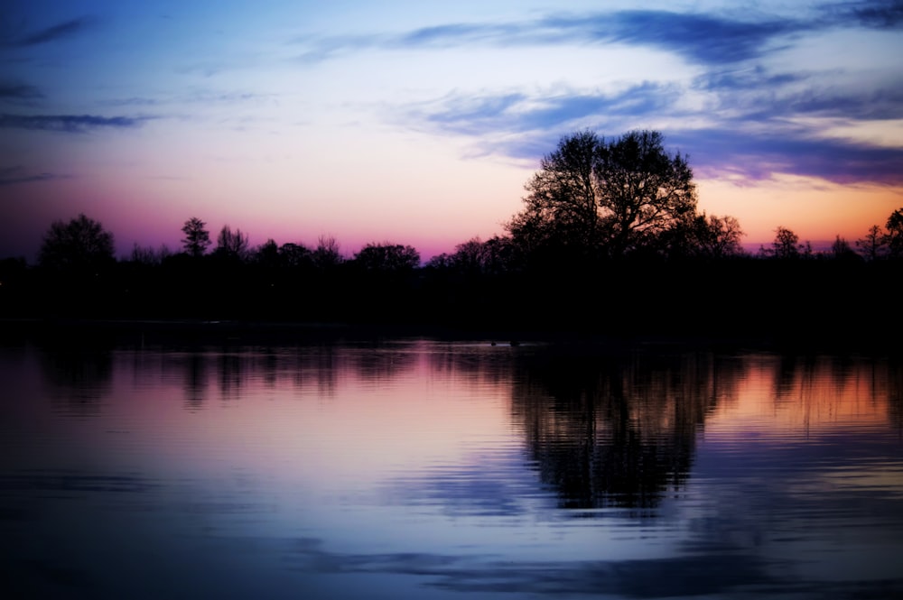 body of water near trees during sunset