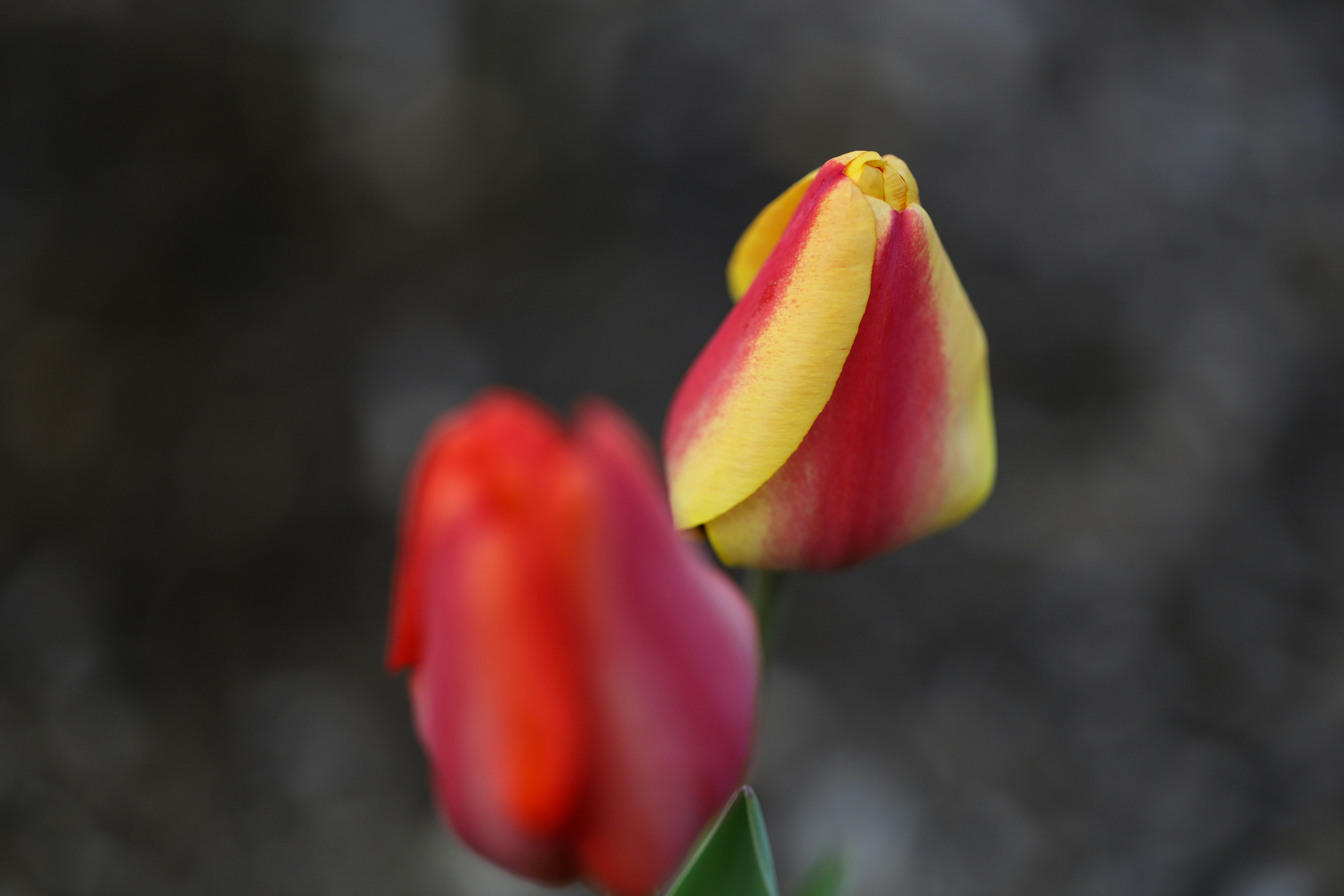 Photo by michaelbweidner