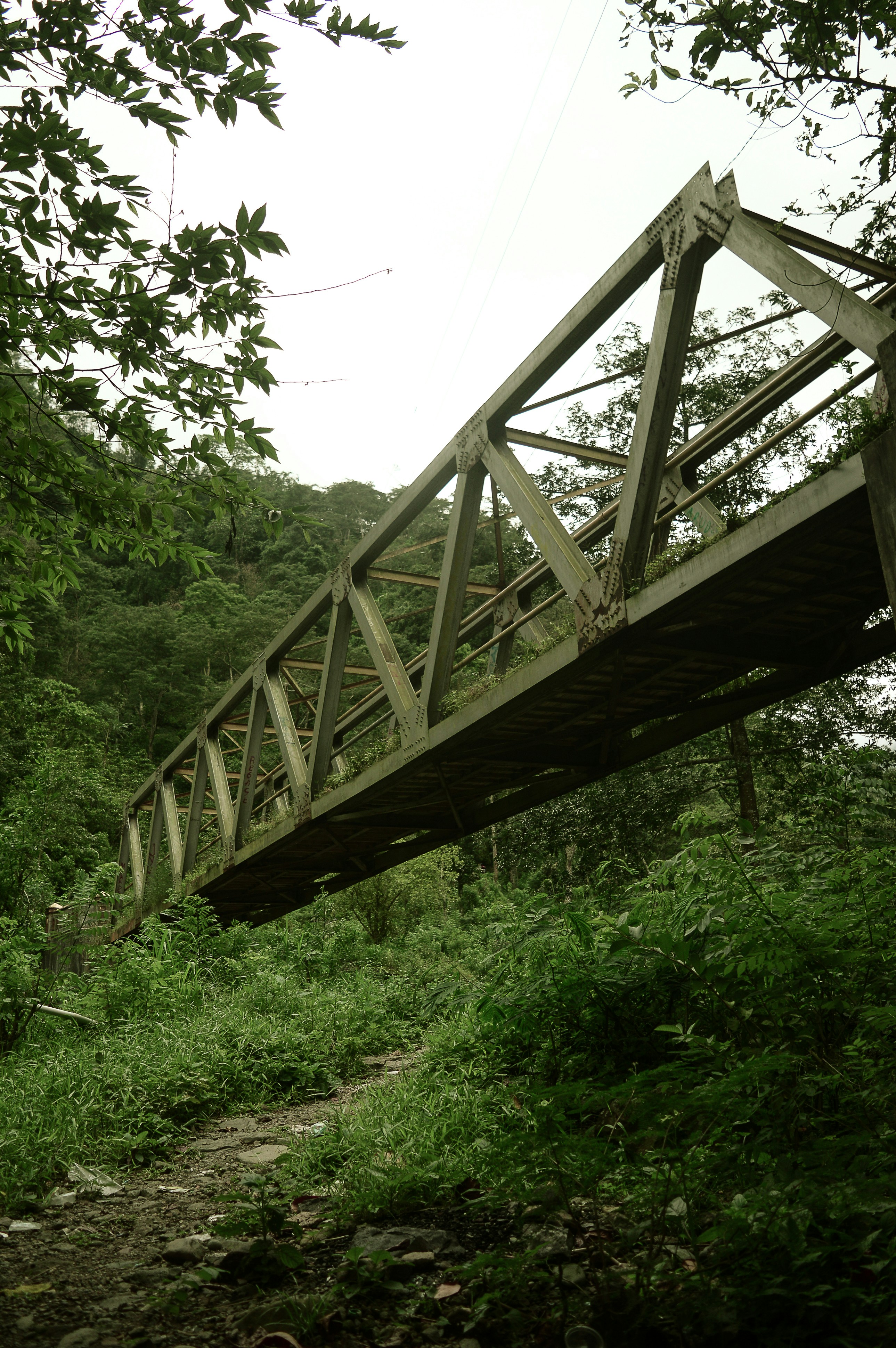brown wooden bridge over green trees during daytime
