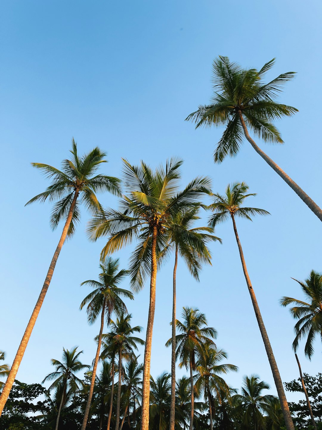 Landscape photo spot Las Terrenas Dominican Republic