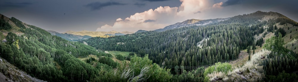 green trees on mountain under cloudy sky during daytime