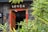 Entrance of a building decorated with traditional Chinese elements, including red scrolls with calligraphy on either side of a wooden door. Lush green bamboo plants are in the foreground, partially obscuring the view. The stone wall in the background is intricately designed, contributing to an authentic and cultural atmosphere.