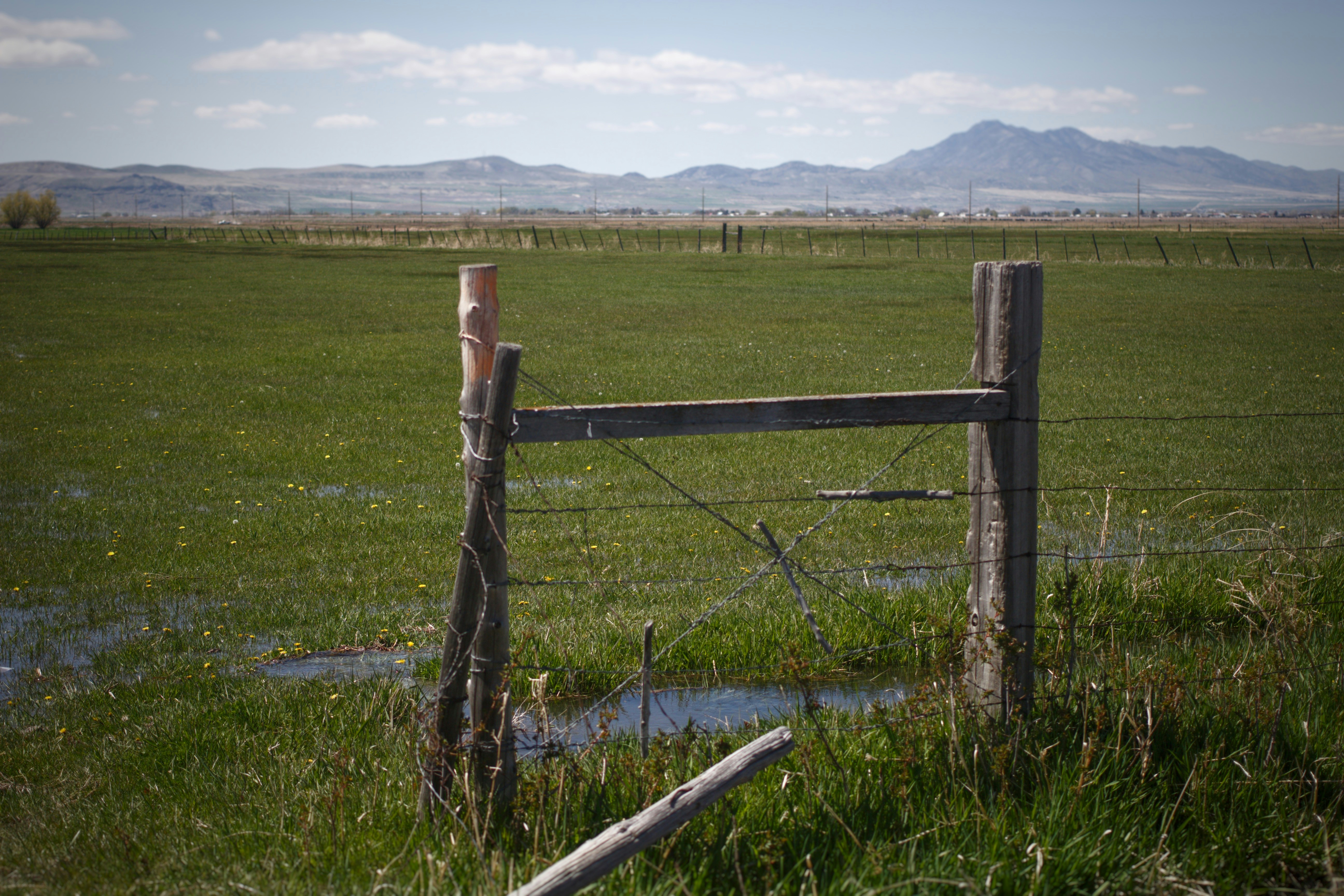 Brown wooden fence on green grass field during daytime photo – Free ...