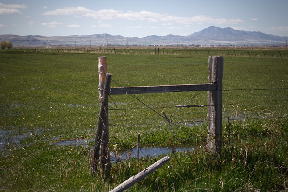 Arizona ranch fence line with grassland and distant mountains