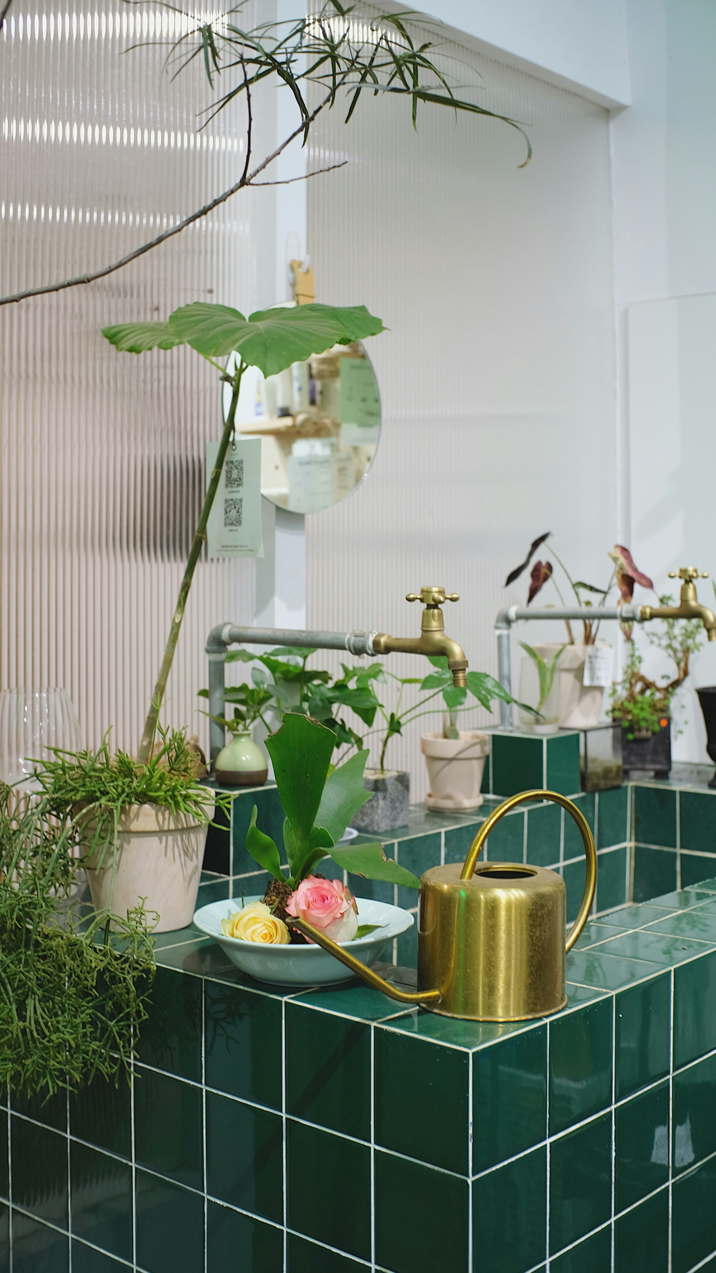 Salle de bain moderne avec plantes et miroirs originaux