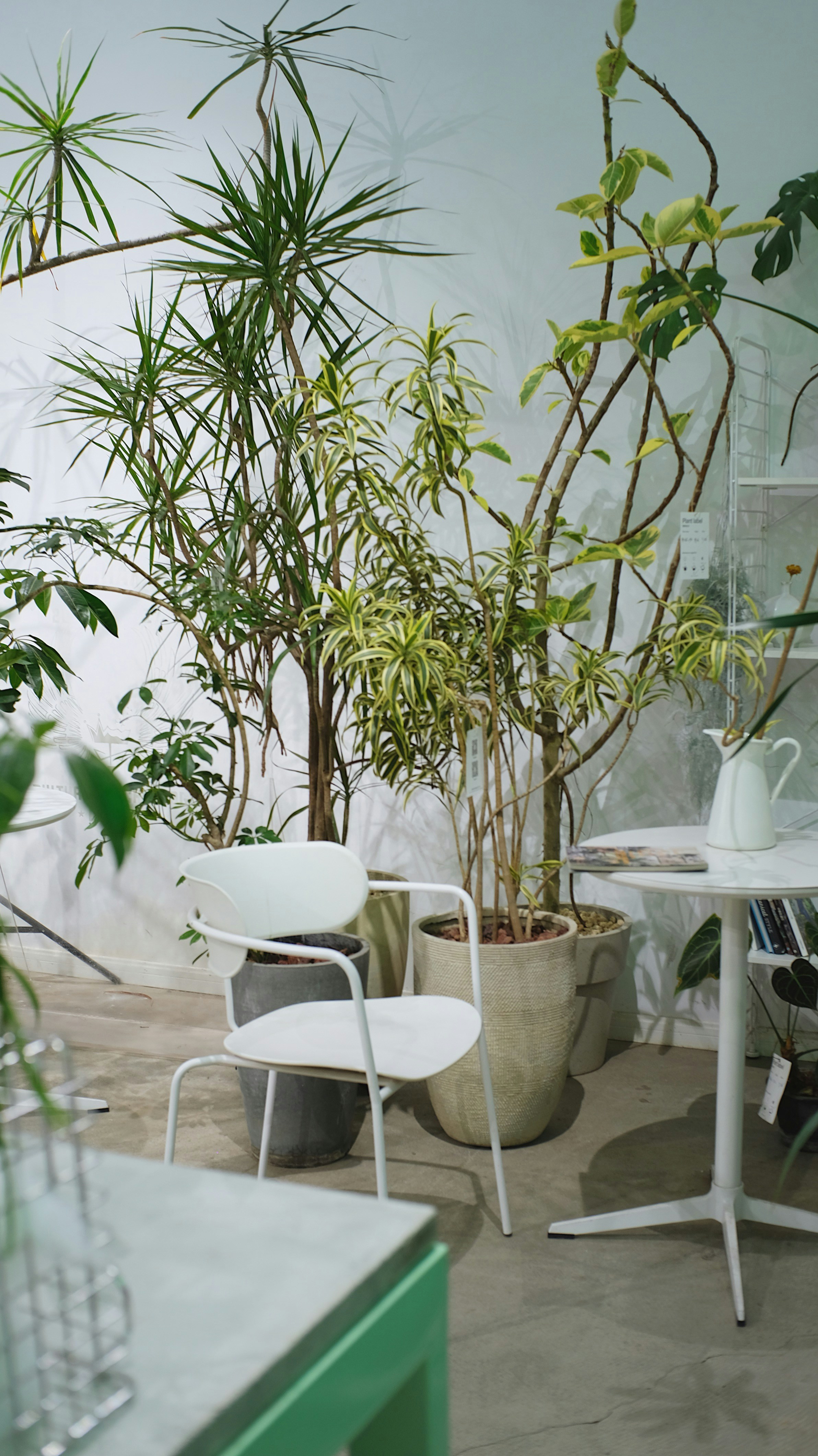 Photo by the0utsider