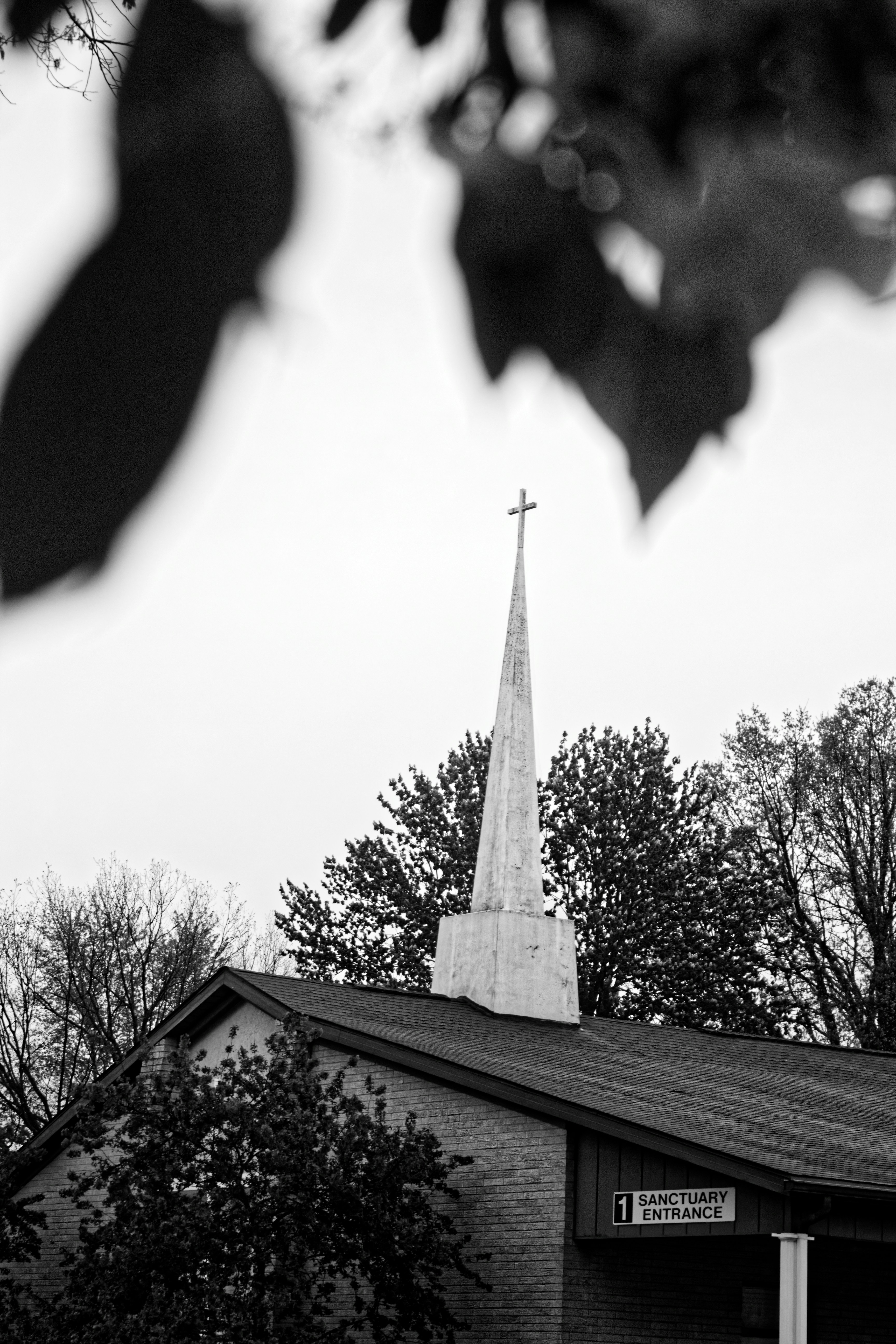 Photo by mrgreatheart