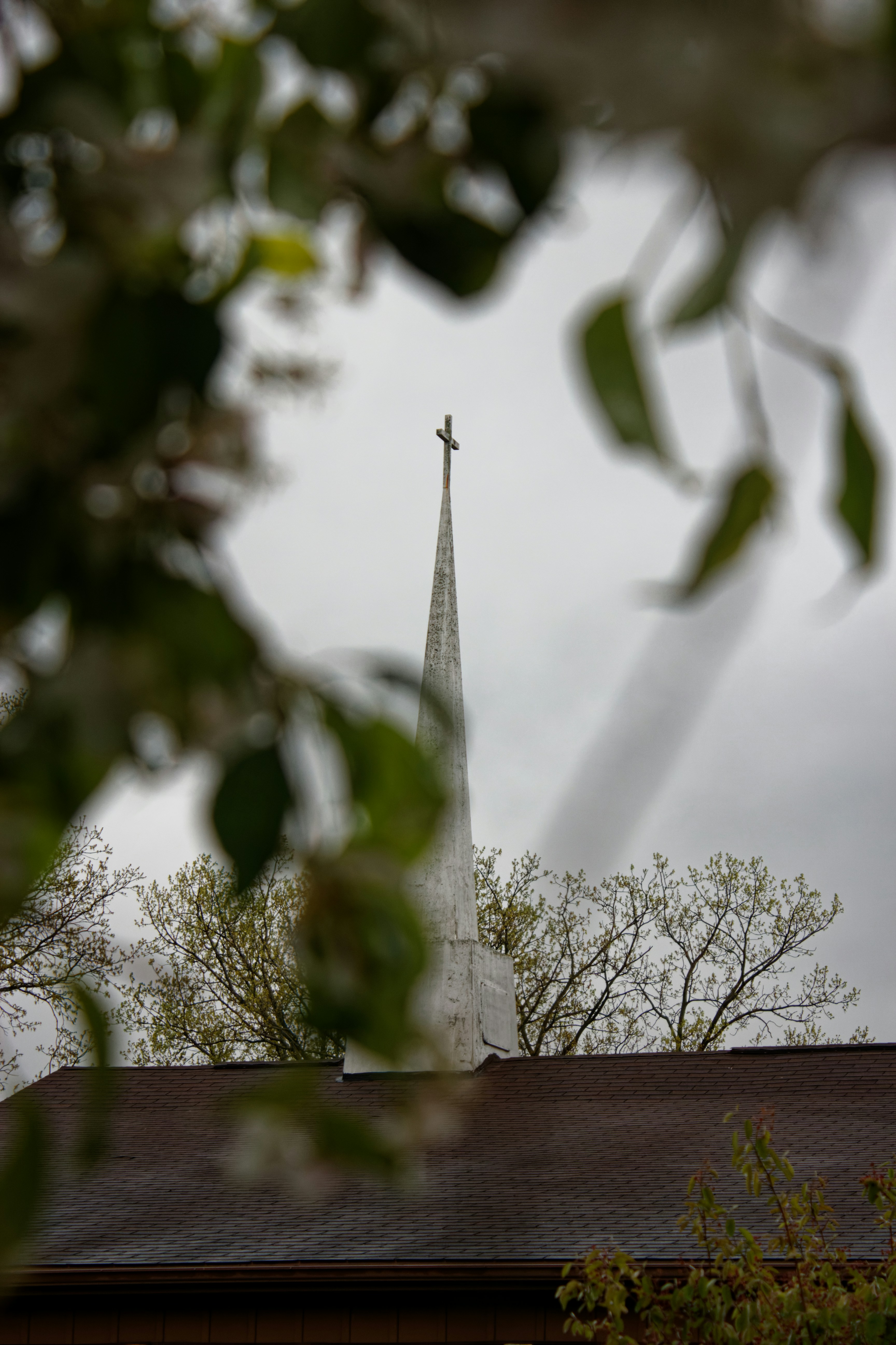 Photo by mrgreatheart