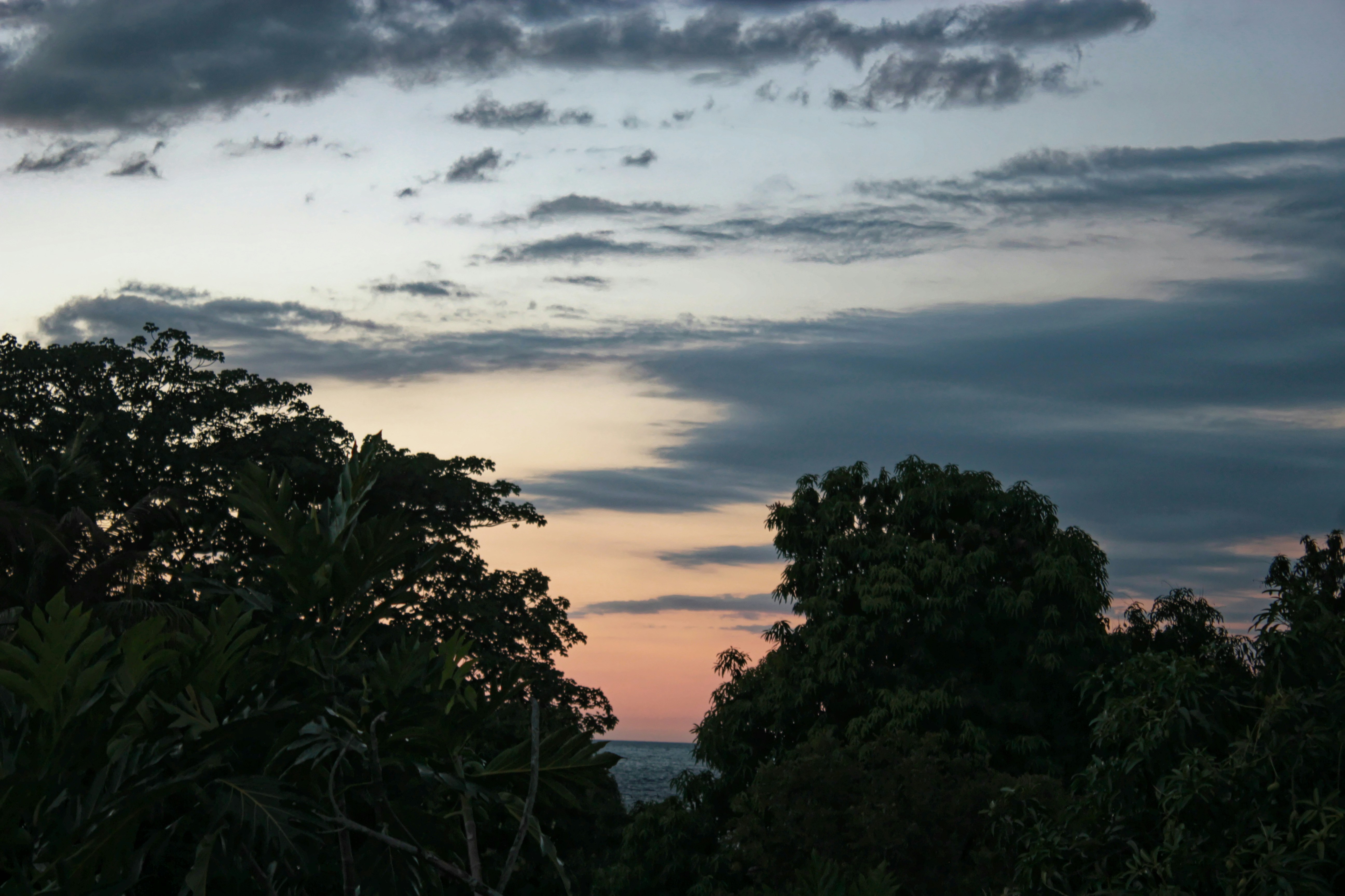 Photo by mrgreatheart