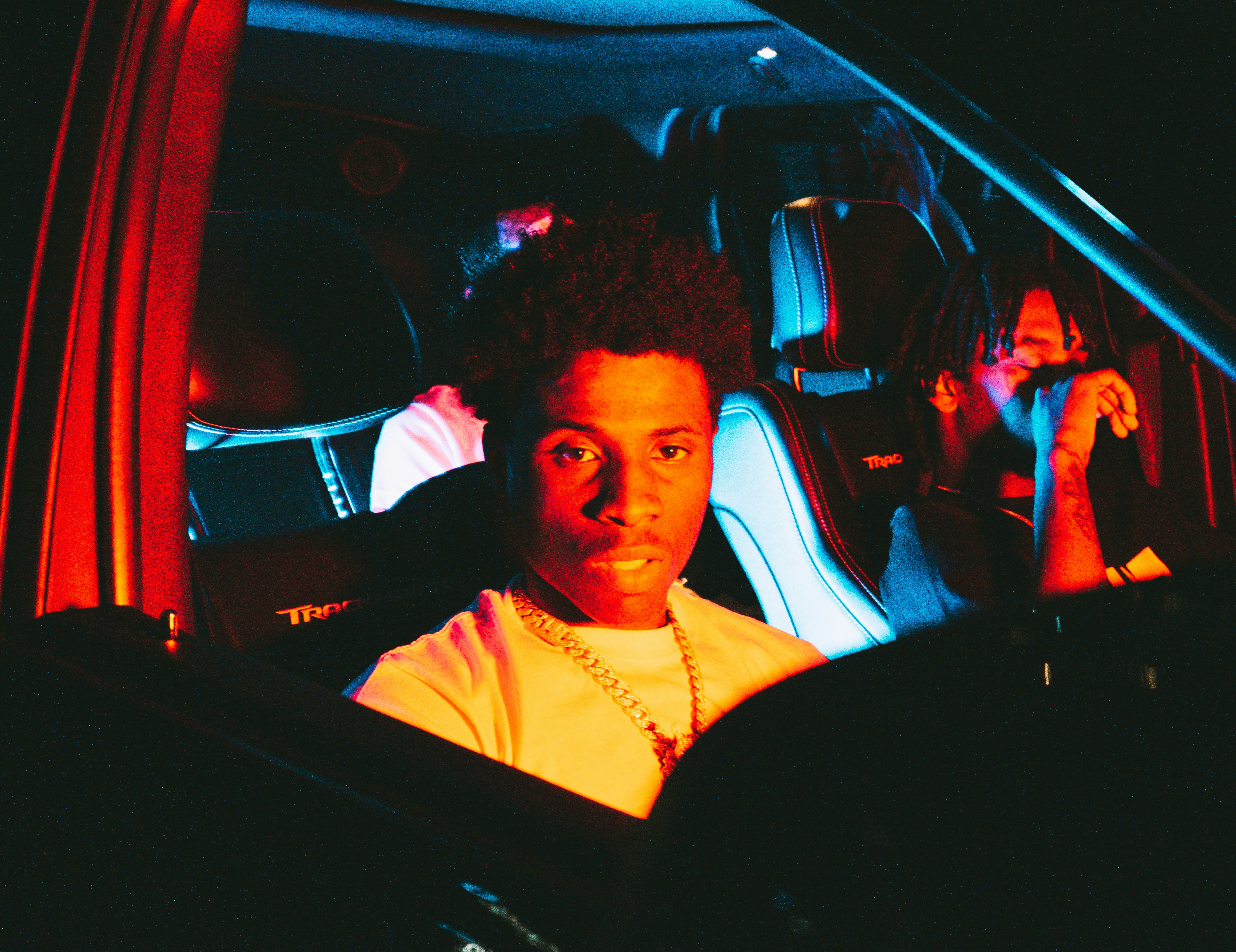 Tame And Train Your Parrot - Take Polly From Predator To Polite