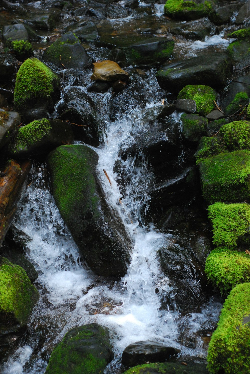 a stream of water running over rocks covered in green moss