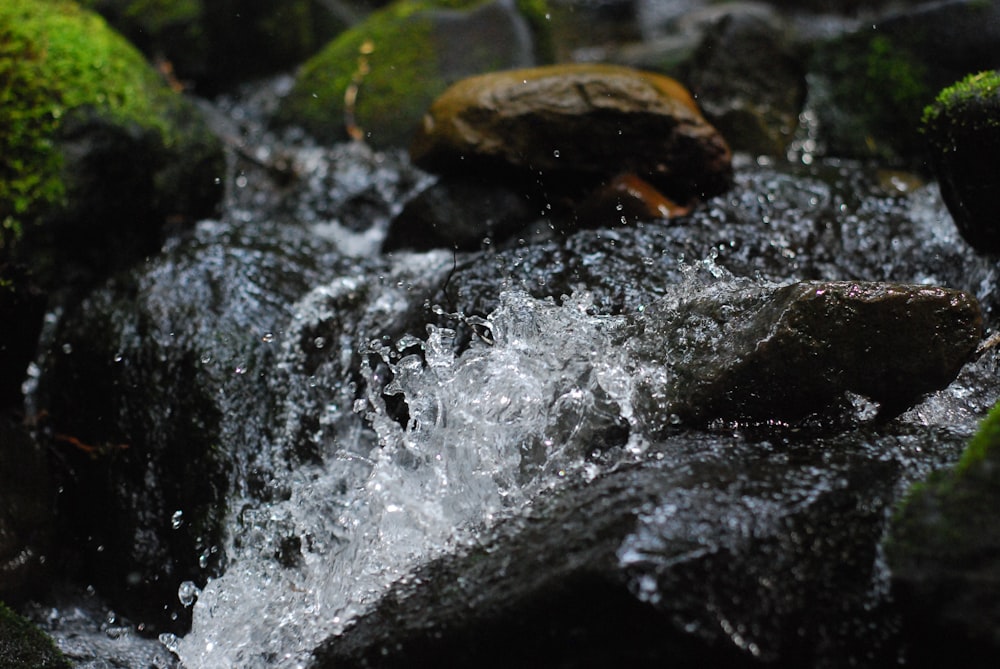 water falls with green moss