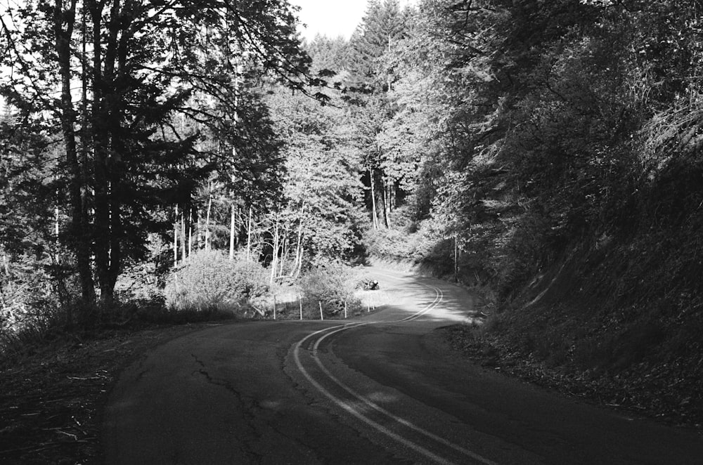 grayscale photo of road in between trees