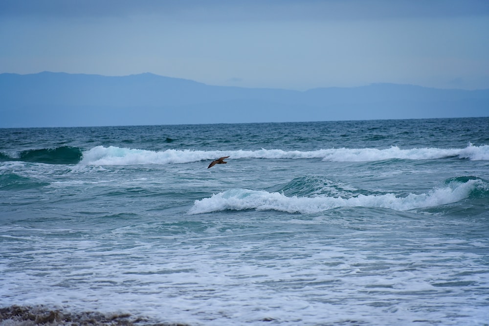 person surfing on sea waves during daytime