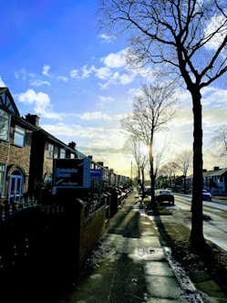 A residential street lined with brick houses stretches into the distance under a partly cloudy sky. A large tree without leaves stands tall on the right side, casting long shadows on the wet pavement. For sale signs are visible in front of the houses, indicating real estate activity. The sunlight filters through the branches, creating a serene atmosphere.