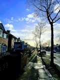 A residential street lined with brick houses stretches into the distance under a partly cloudy sky. A large tree without leaves stands tall on the right side, casting long shadows on the wet pavement. For sale signs are visible in front of the houses, indicating real estate activity. The sunlight filters through the branches, creating a serene atmosphere.