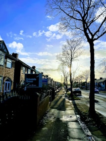 A residential street lined with brick houses stretches into the distance under a partly cloudy sky. A large tree without leaves stands tall on the right side, casting long shadows on the wet pavement. For sale signs are visible in front of the houses, indicating real estate activity. The sunlight filters through the branches, creating a serene atmosphere.