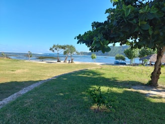 A serene sea-view plot with lush greenery and a clear blue sky in Konkan.