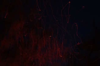 Simulation of charged particle trajectories influenced by Lorentz forces.