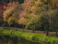A serene municipal park featuring walking paths, benches, and mature trees in autumn colors.