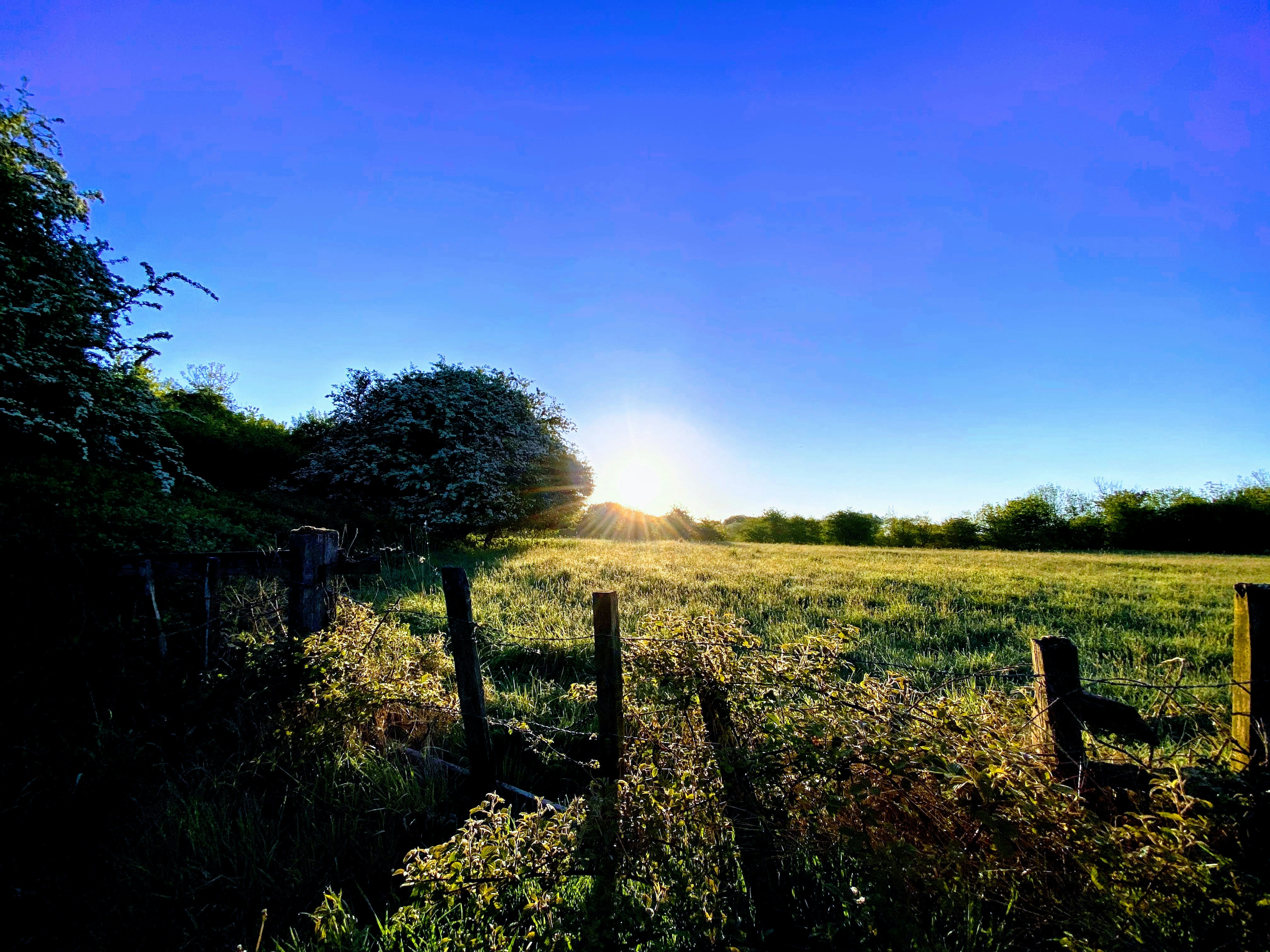 Photo by david_robert_clarke