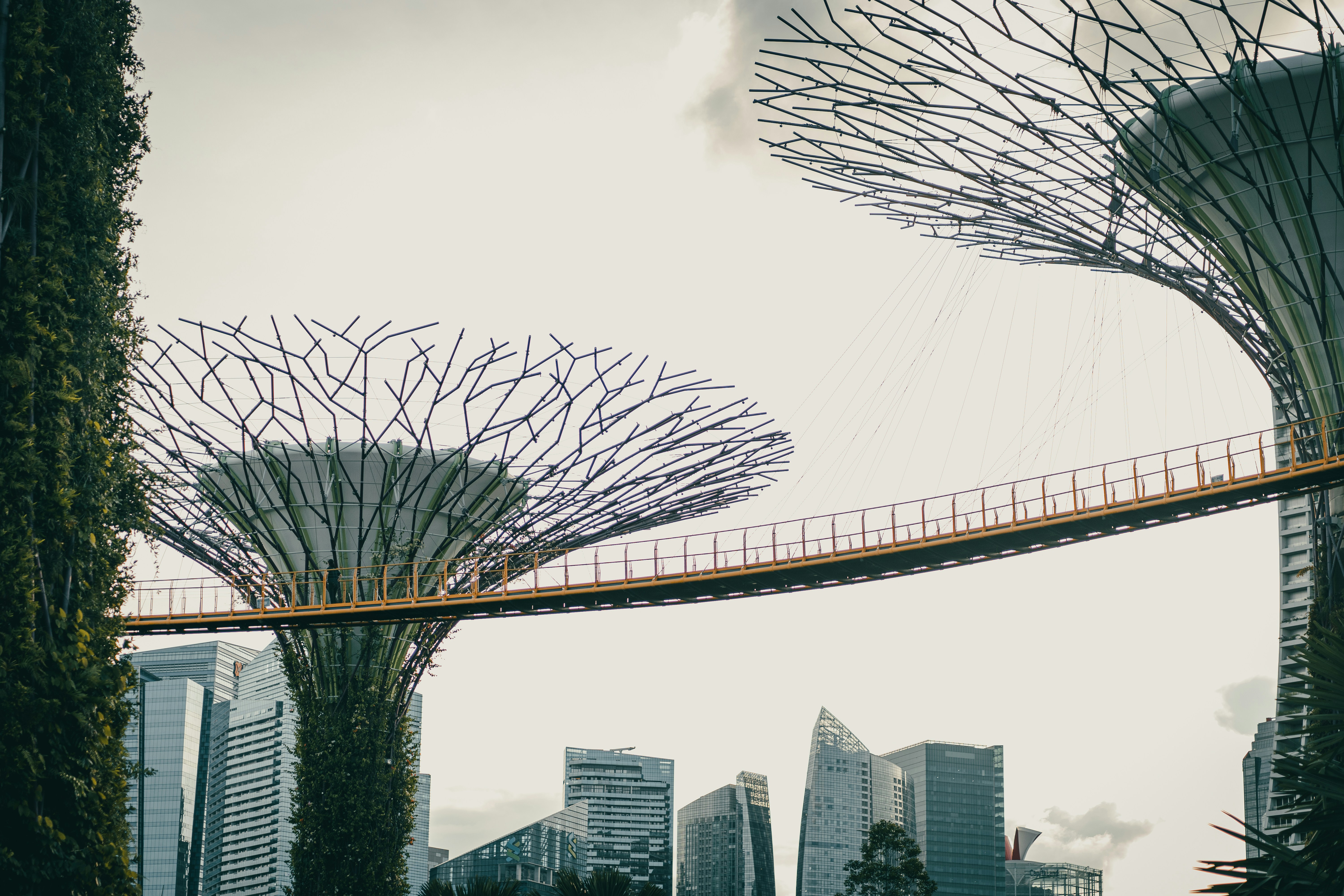 Photo by albertvincentwu