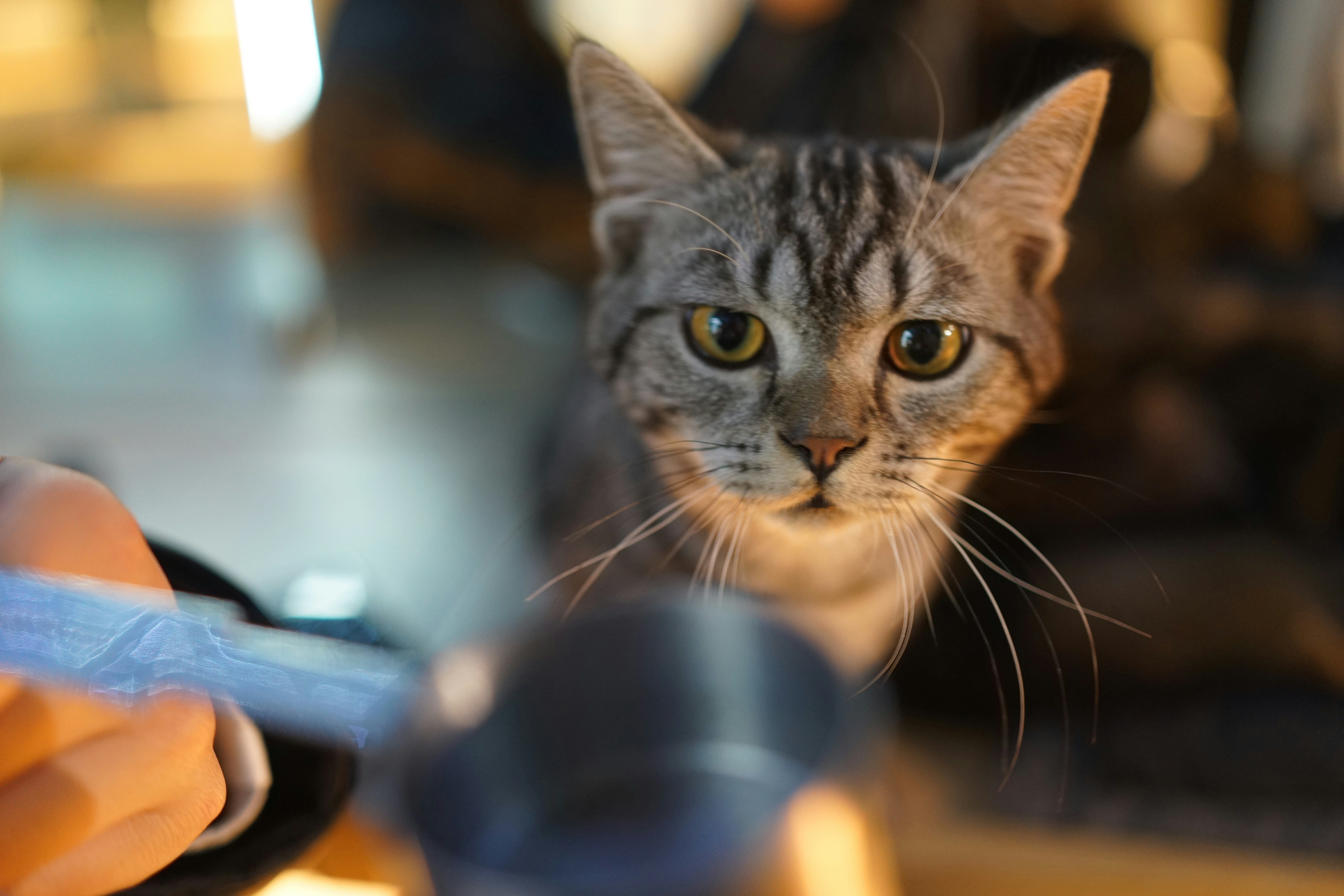 Photo by alexanderxiaoyu