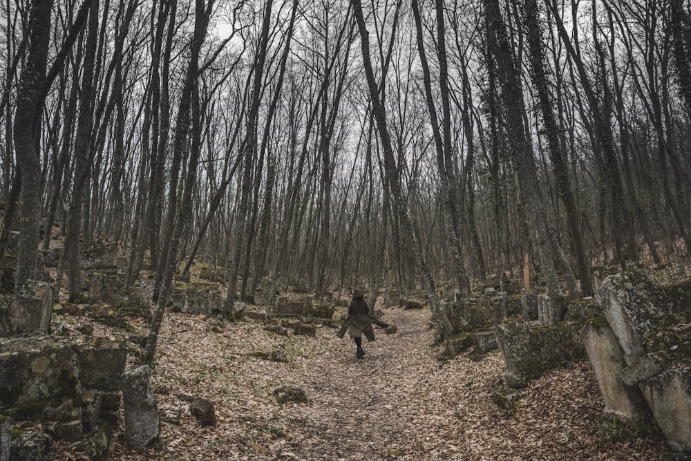 Person in schwarzer Jacke, die tagsüber auf einem Feldweg zwischen Bäumen geht