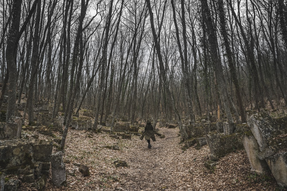 Persona con chaqueta negra caminando por el camino de tierra entre los árboles durante el día