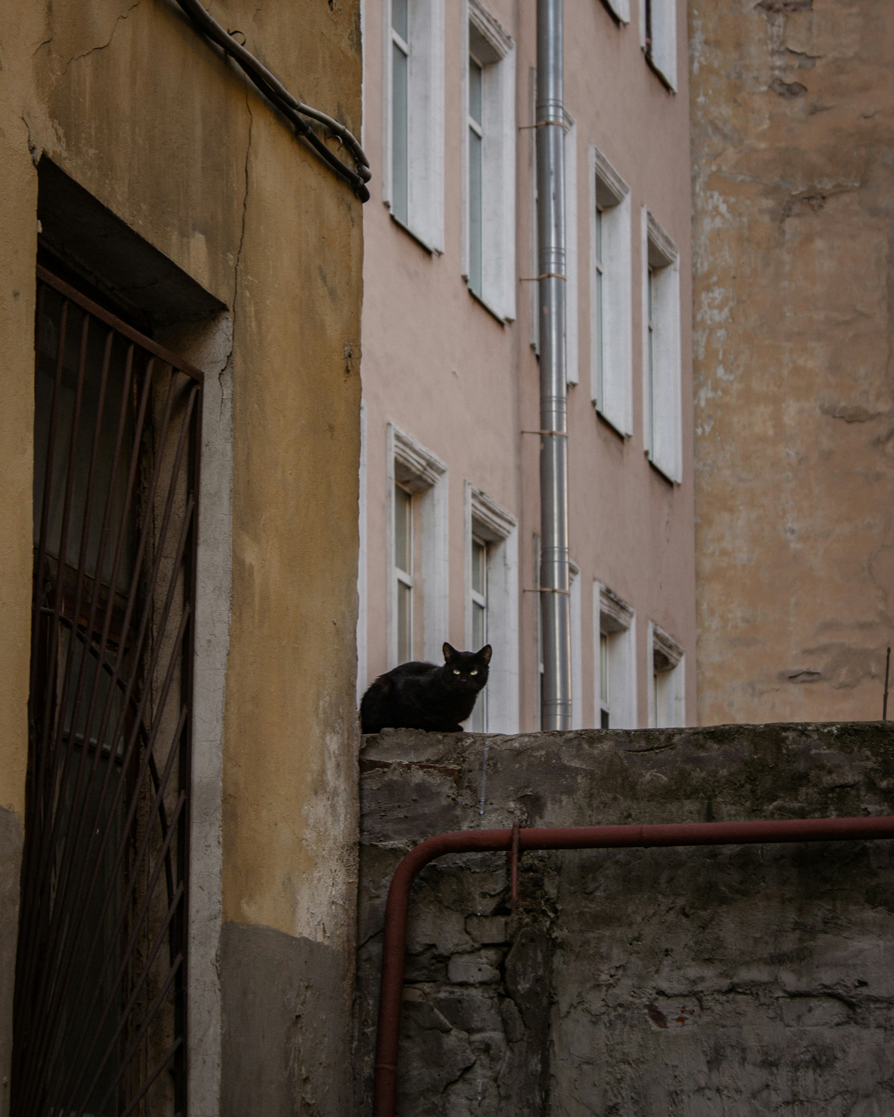 Photo by matthewelk