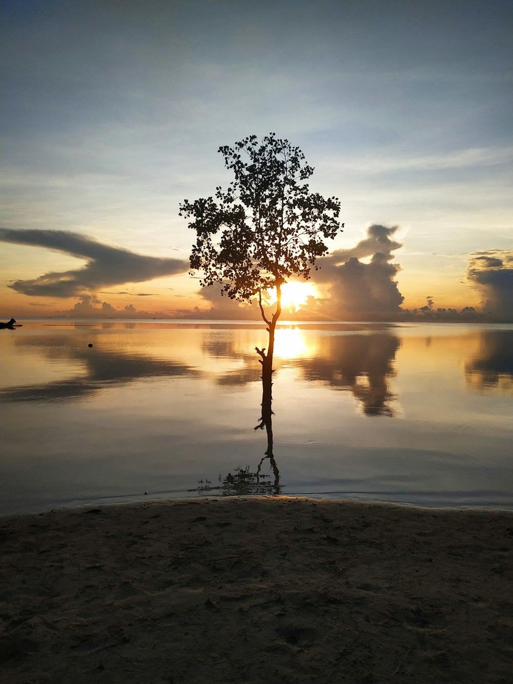 Plan d’eau près des arbres au coucher du soleil