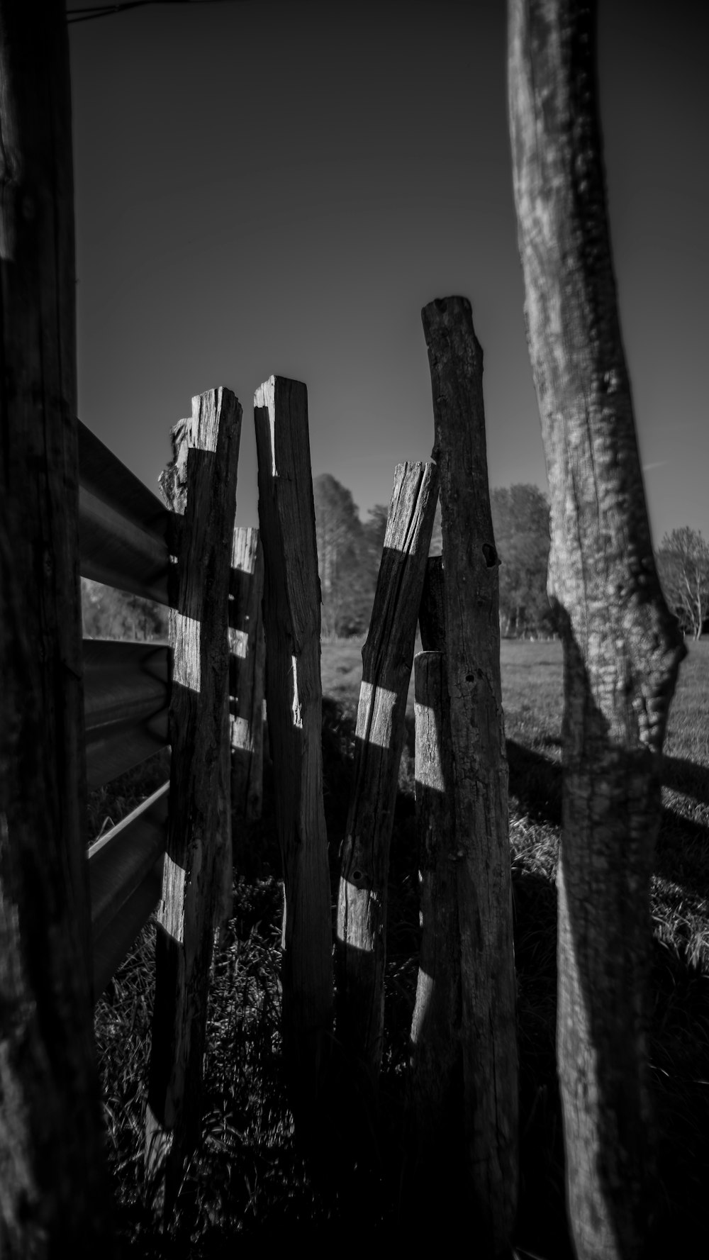 grayscale photo of wooden fence