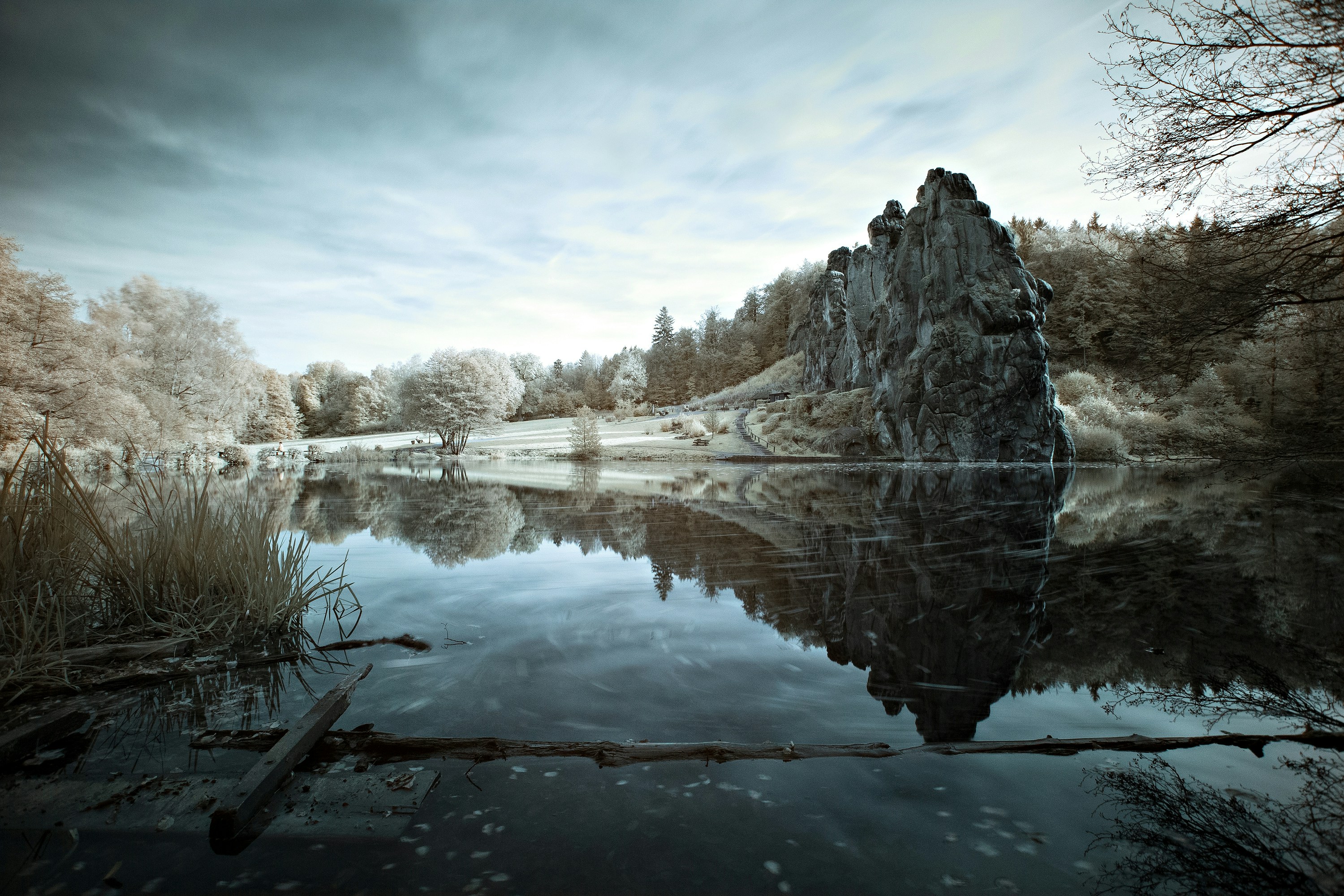 white and brown trees beside lake under blue sky during daytime