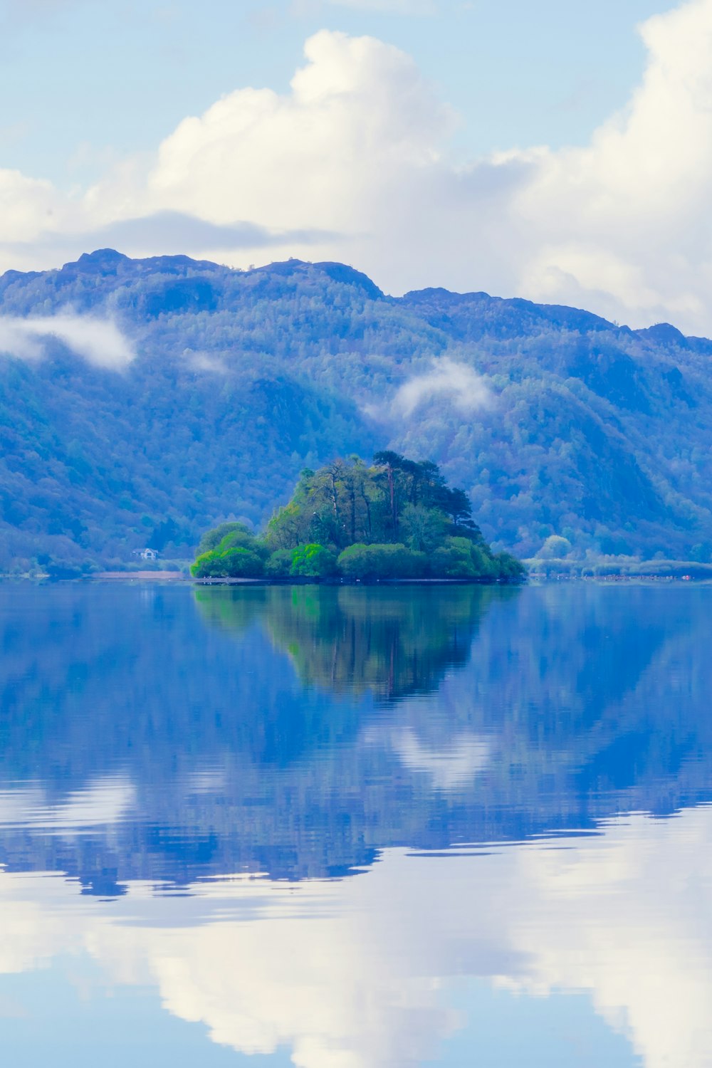 green trees on island surrounded by water