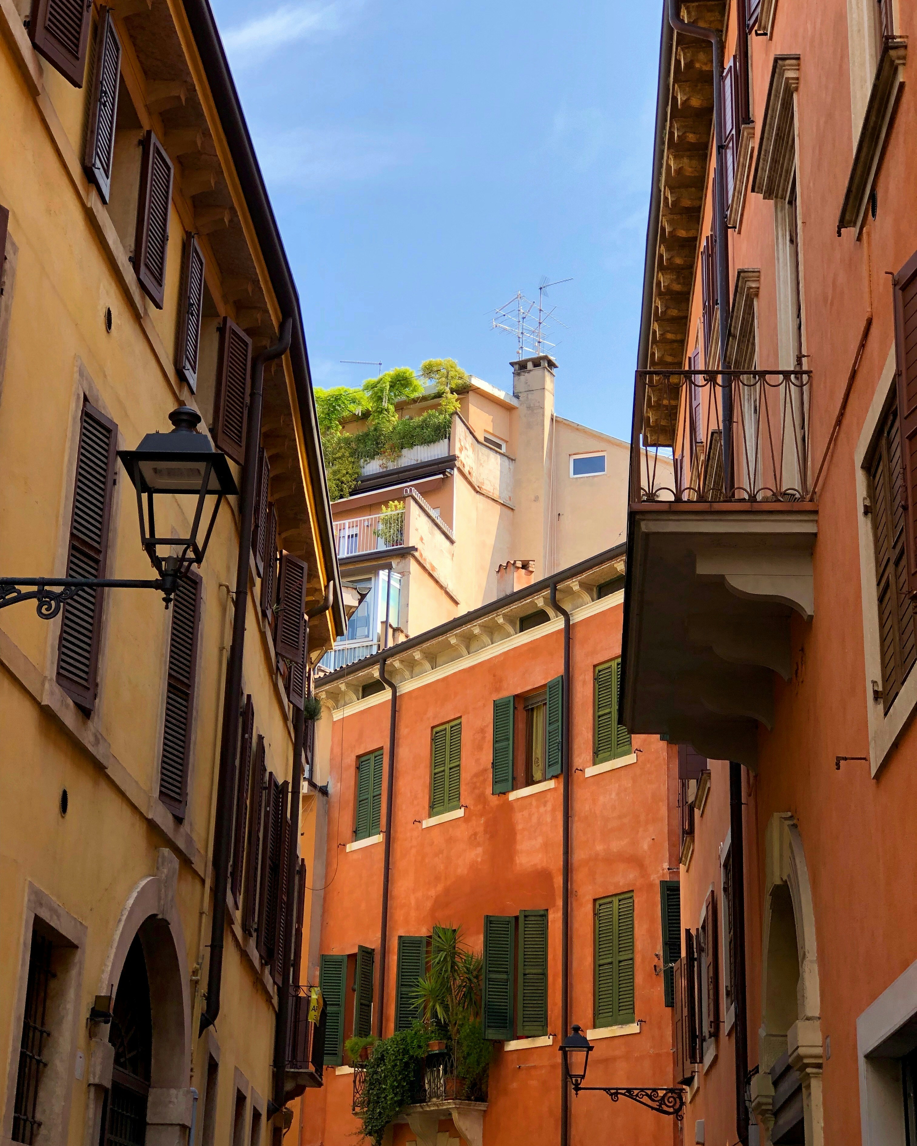 Photo by maksym_harbar