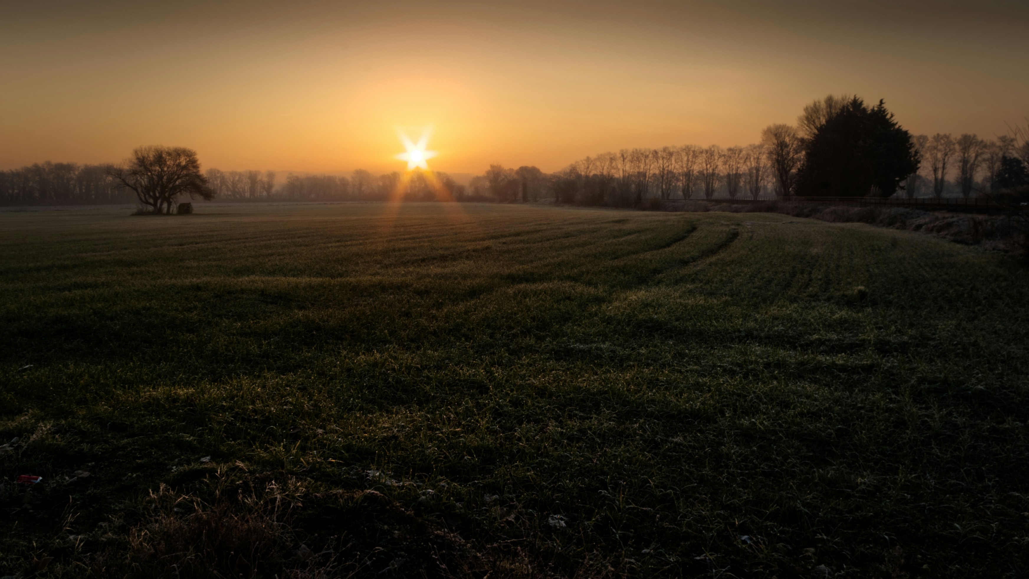 green grass field during sunset