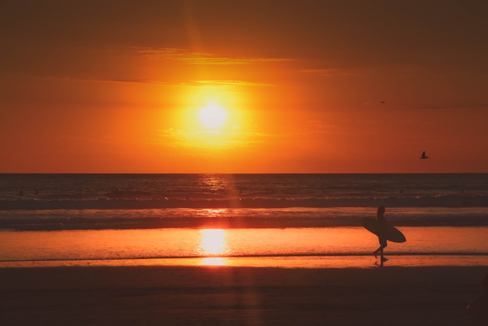 silhouette of person holding surfboard walking on beach during sunset