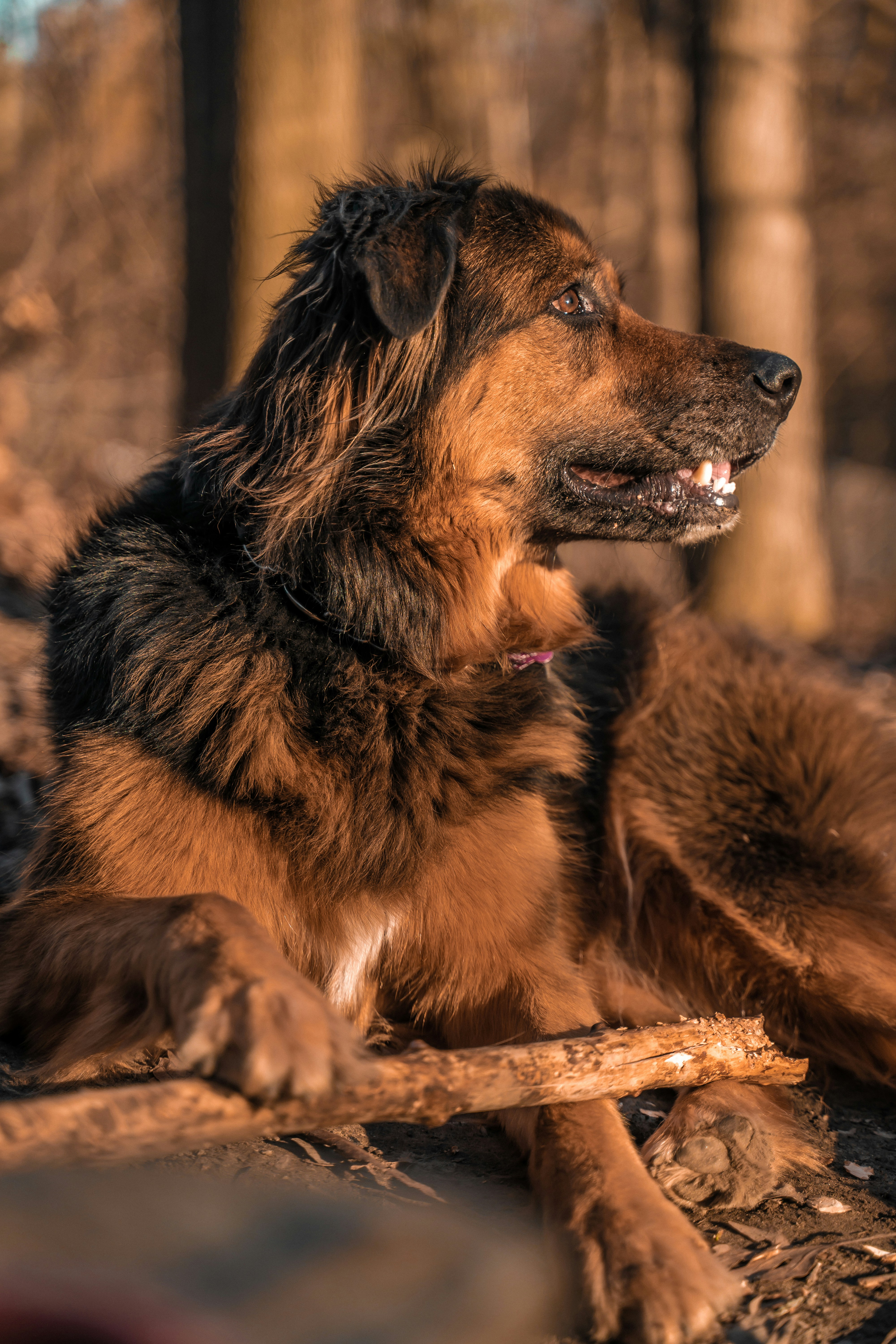 Photo by highermediaprod99