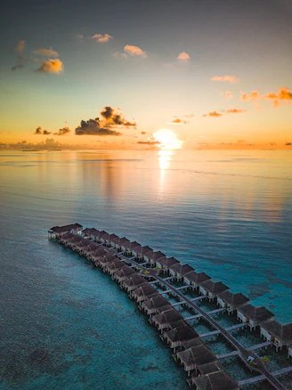 gray concrete dock on sea during sunset