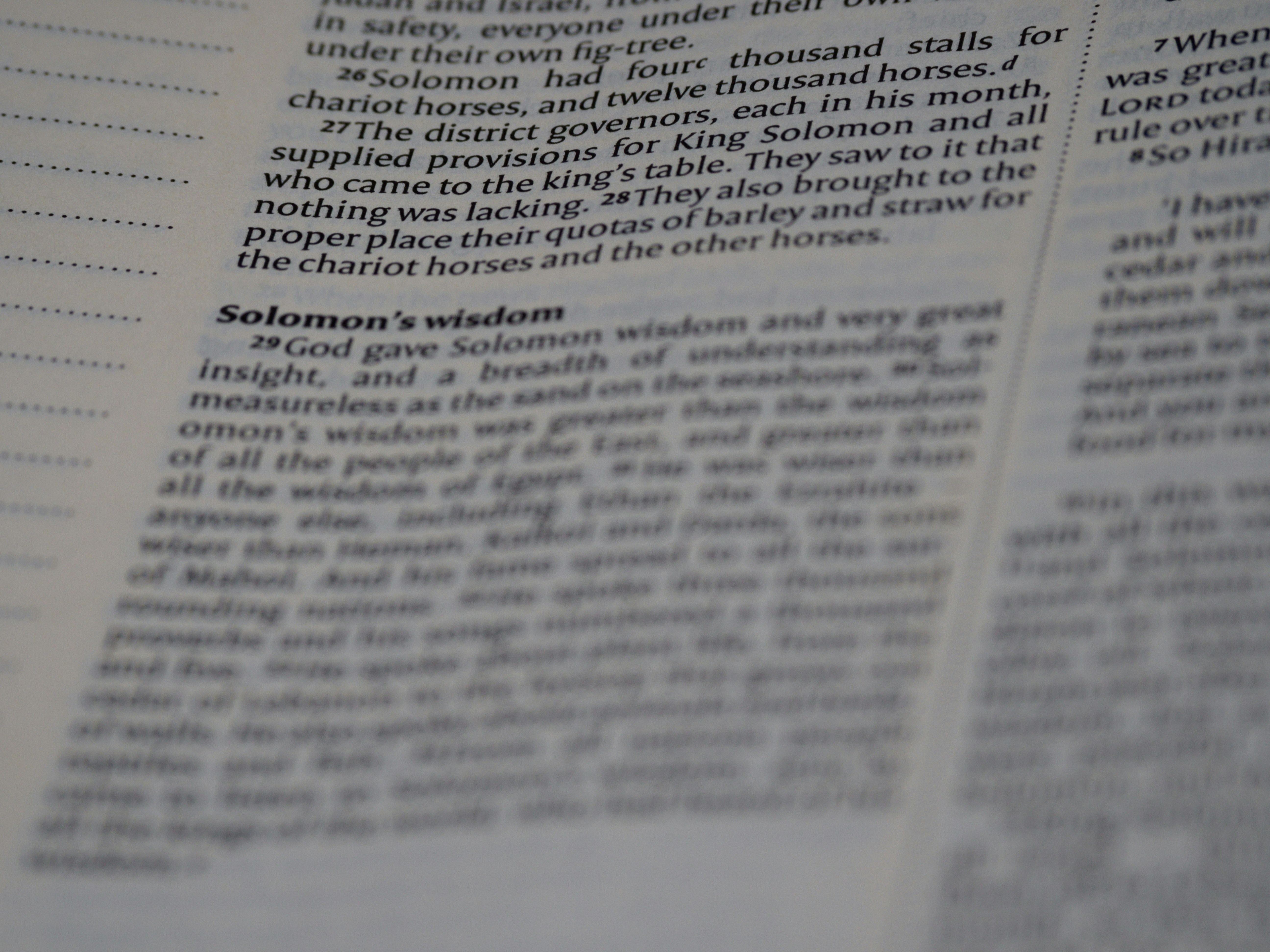 Photo by brett_jordan on Unsplash