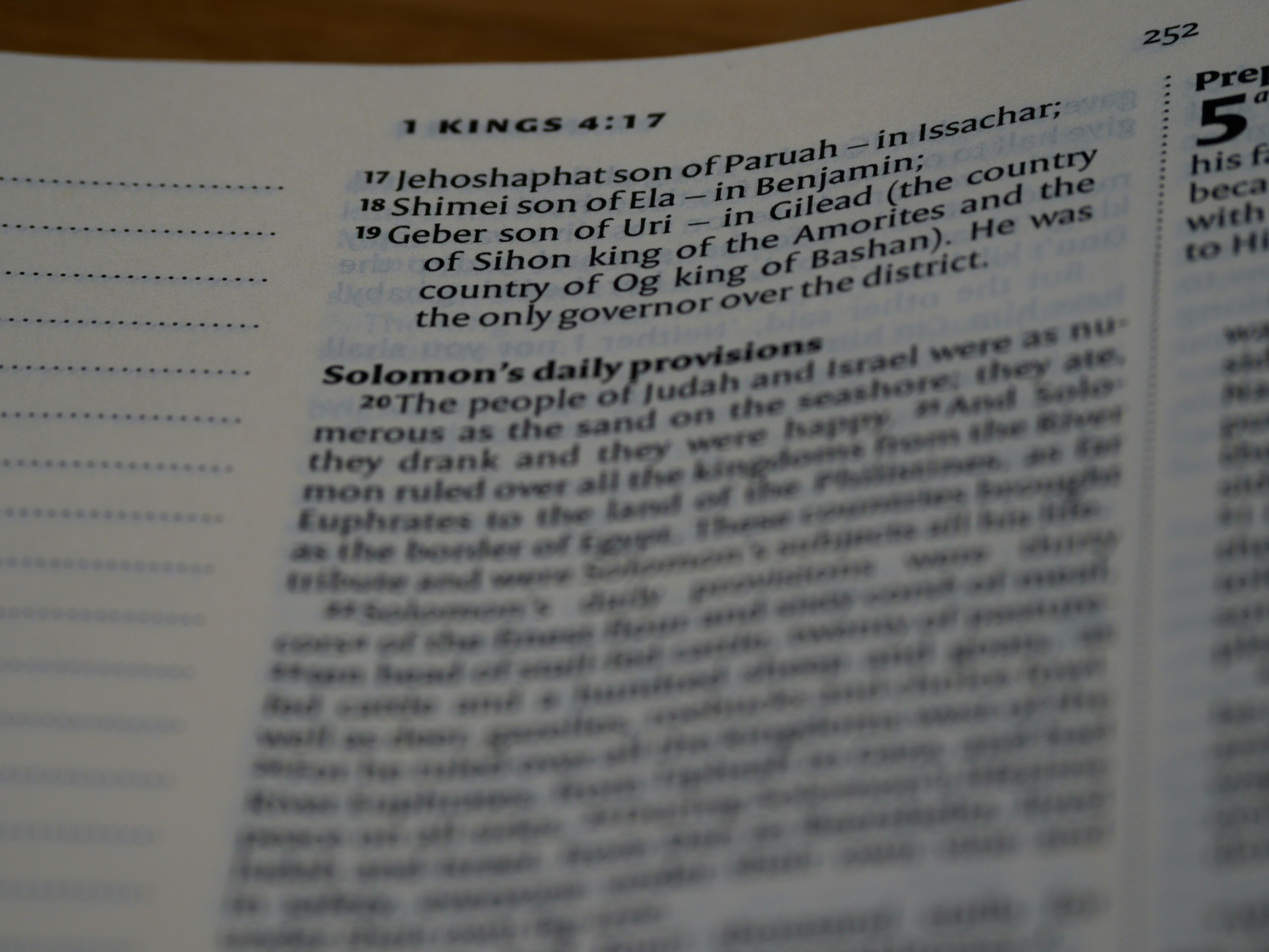 close up, bokeh, macro, blur, blurred background, close focus, bible, old testament, 1 kings, book of kings, kings, ספר מלכים‎, sêp̄er malḵîm,  hebrew bible, destruction of judah, babylon, babylonian exile, Deuteronomistic history, a history of Israel, rabbinic literature, shavuot, christian, judaism, history, text, reading, bible study, devotions, text, NIV, New International Version, type, typography, canon, christianity, holy scripture, holy bible, scripture, tanakh, nevi'im, ketuvim, septuagint, 