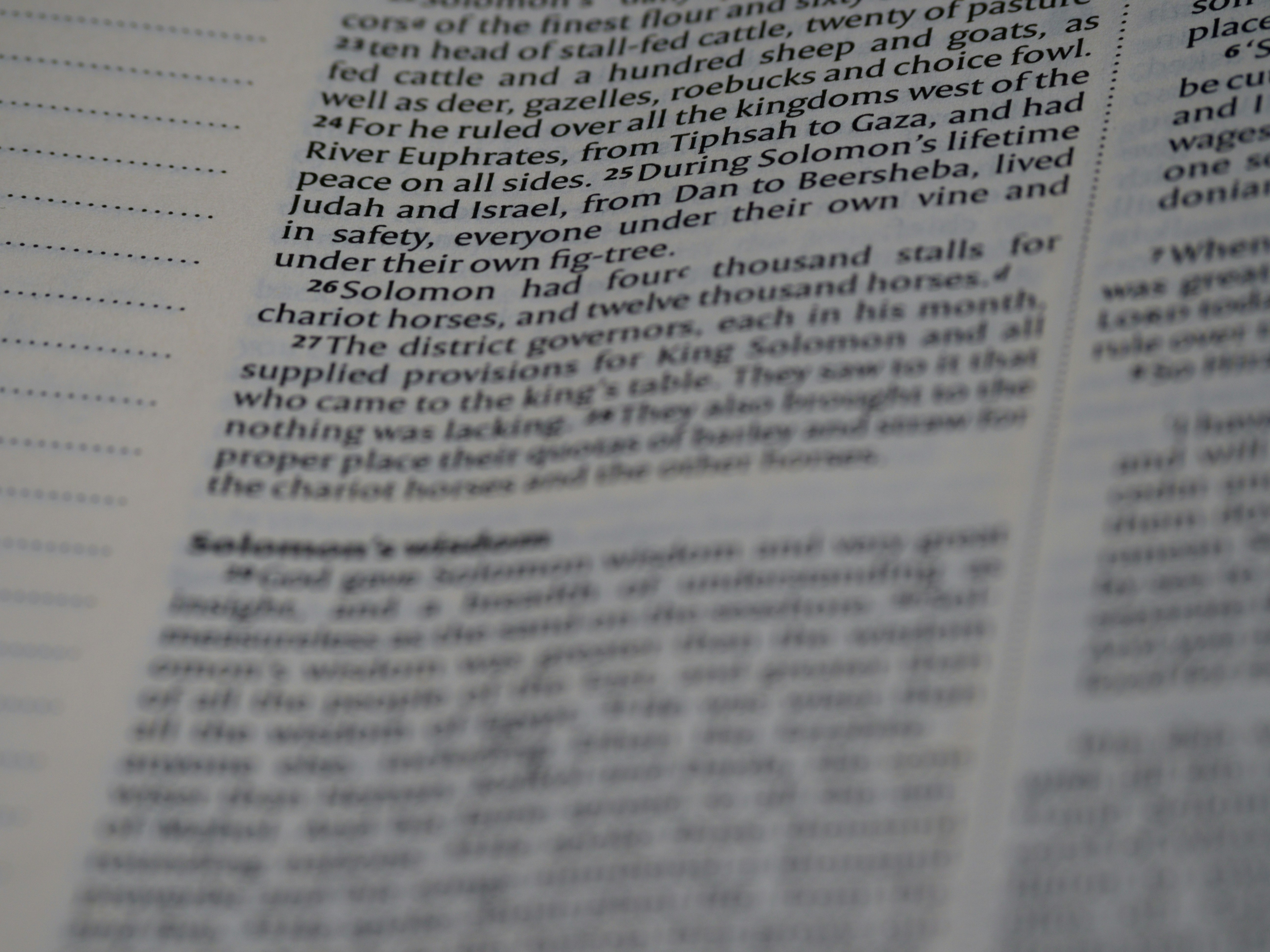 Photo by brett_jordan