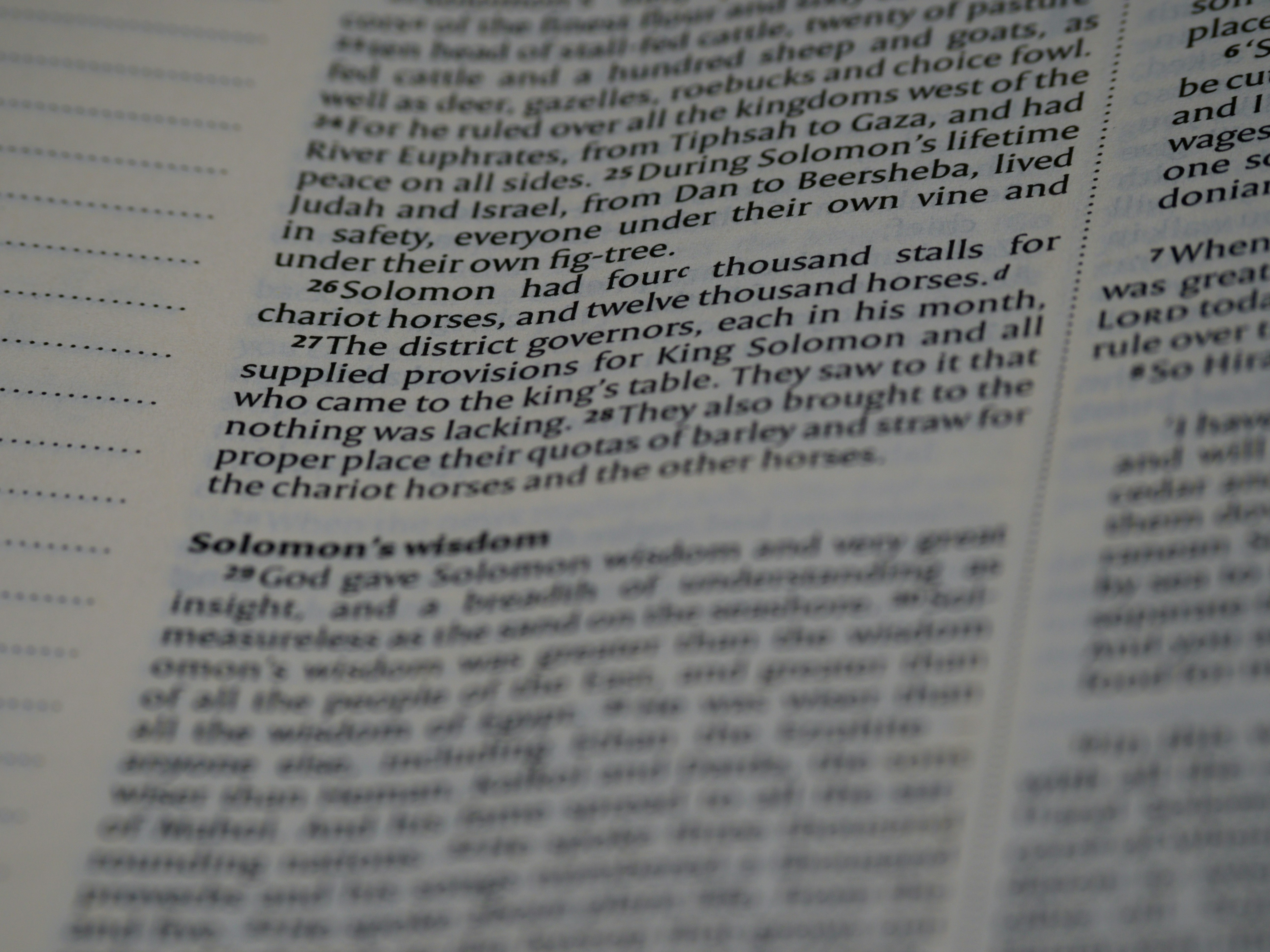 Photo by brett_jordan