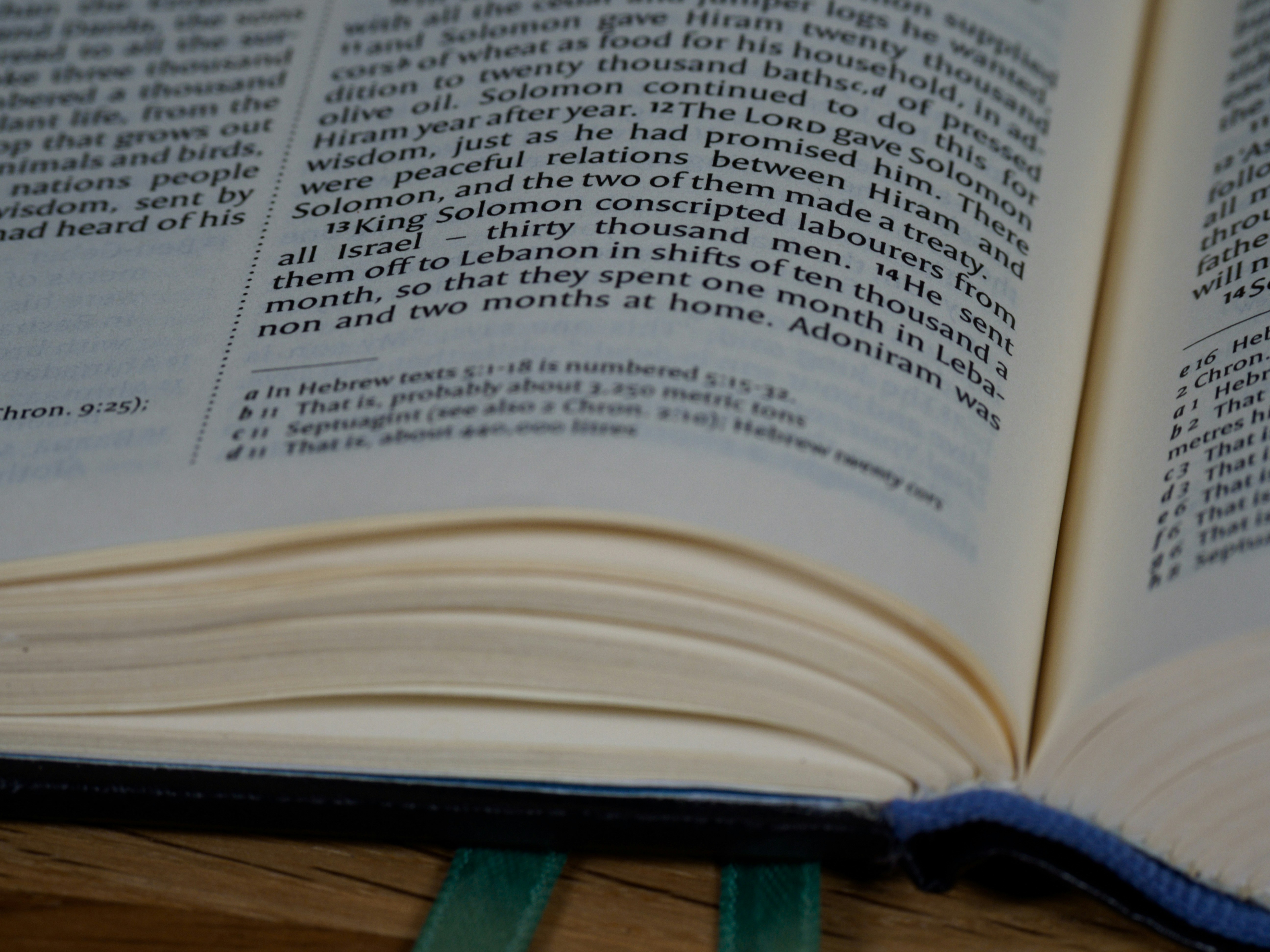 Photo by brett_jordan