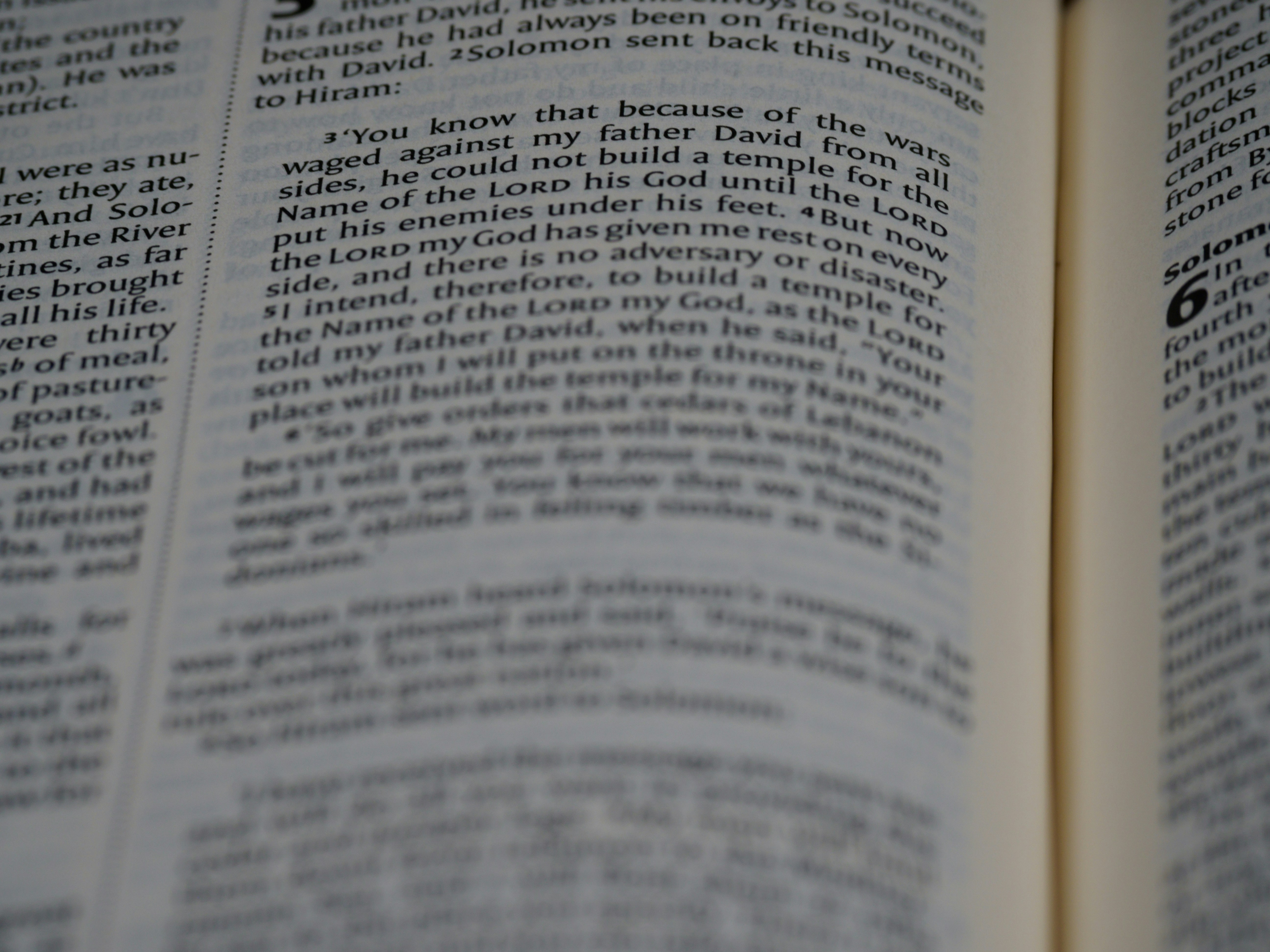 Photo by brett_jordan