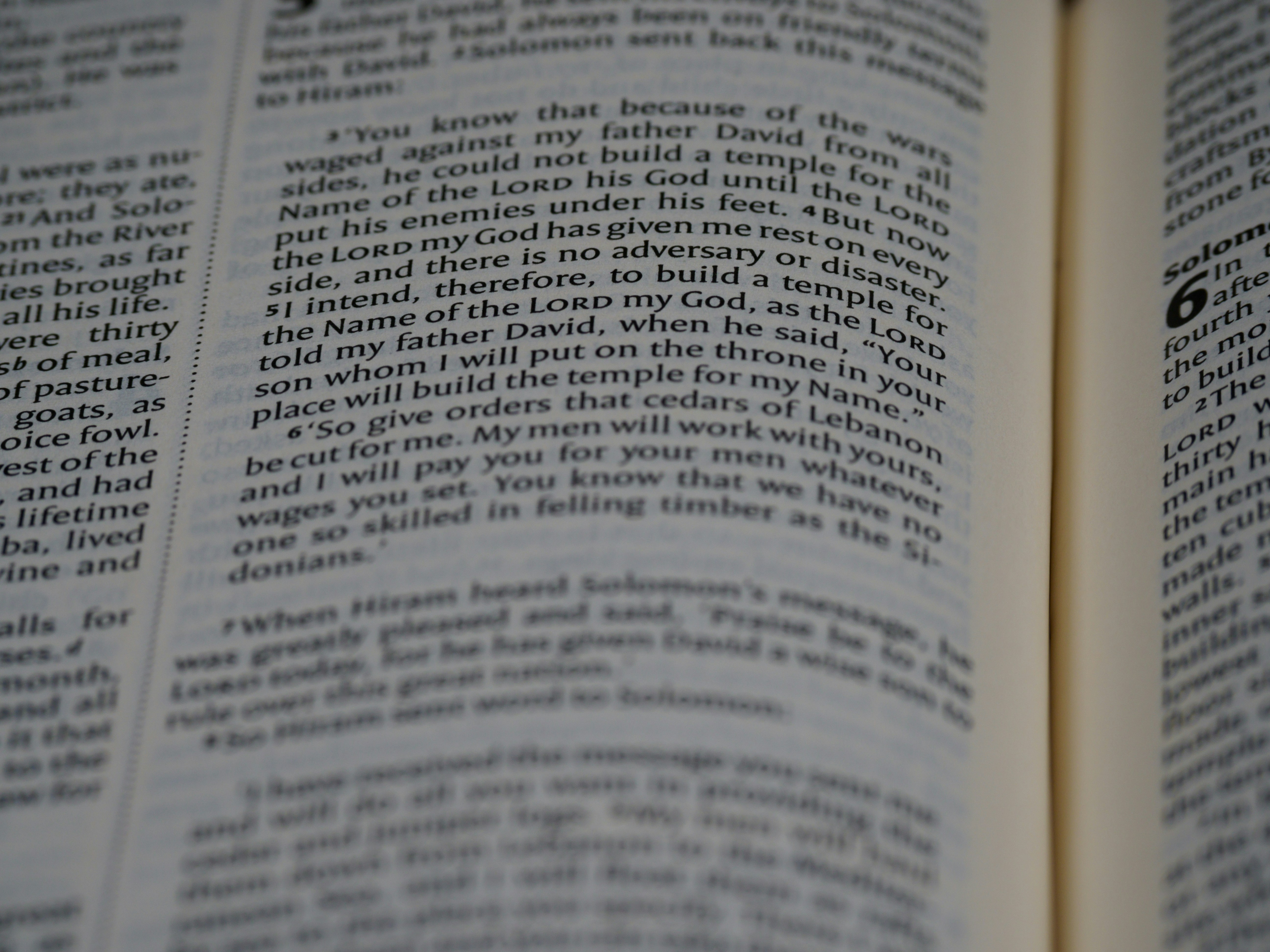 Photo by brett_jordan