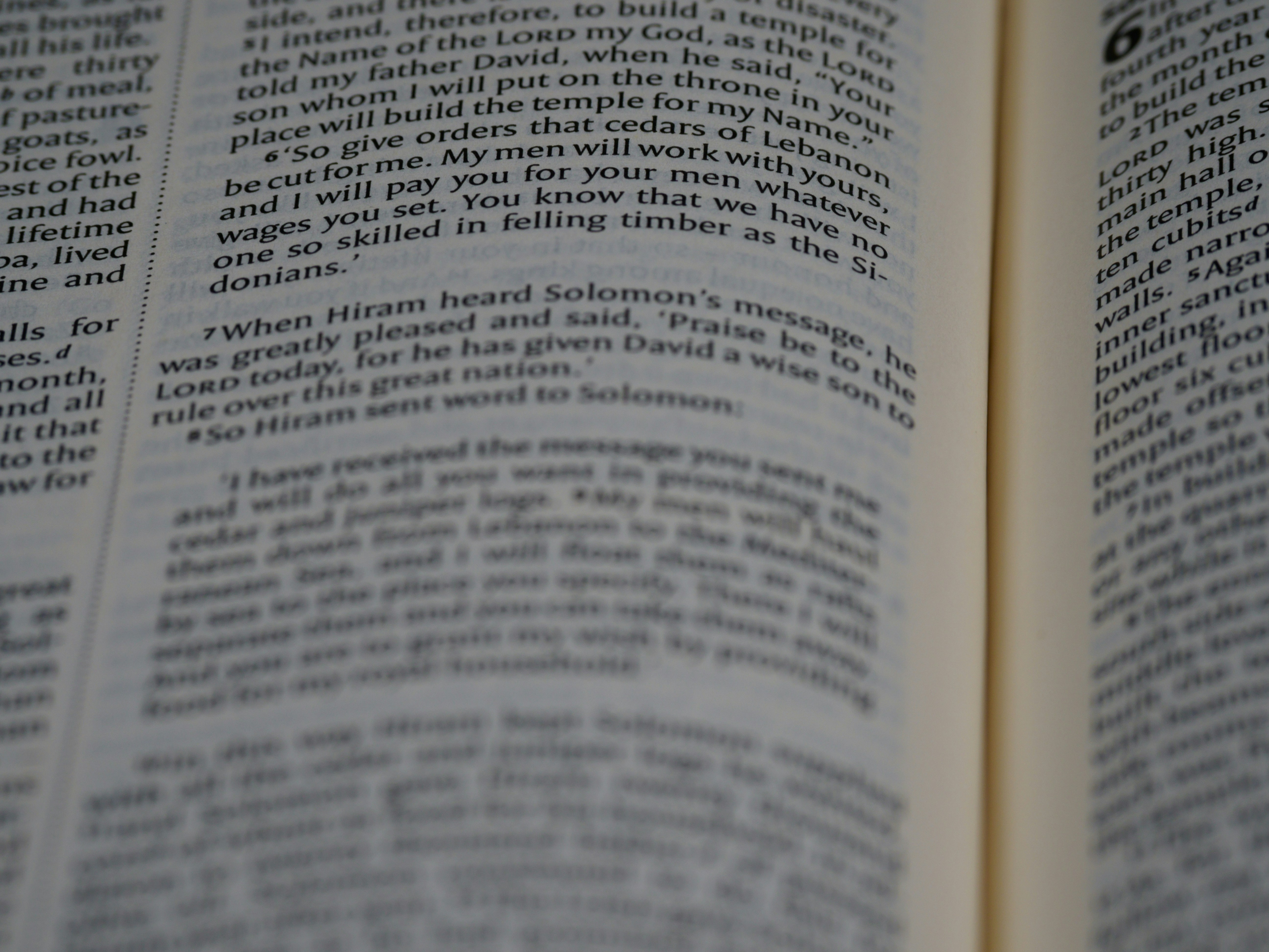 Photo by brett_jordan